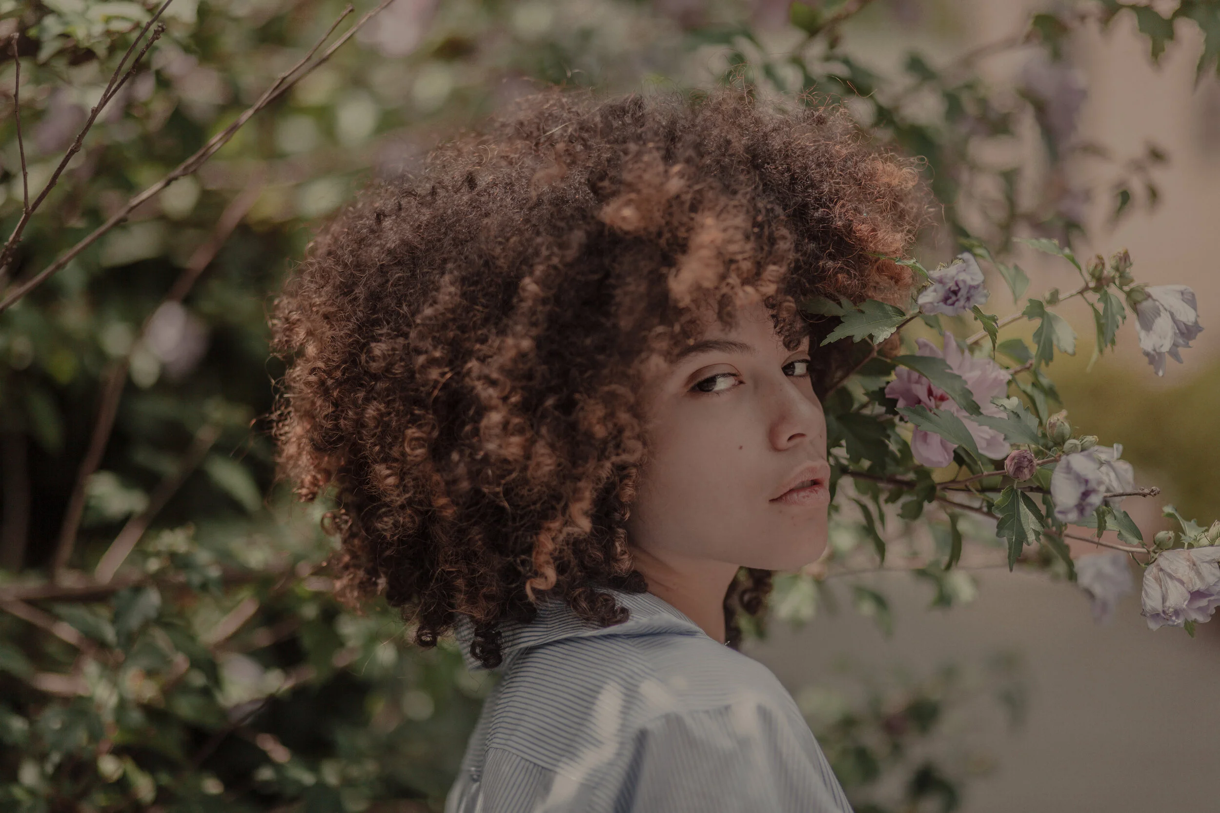 Dafne St. Hilaire