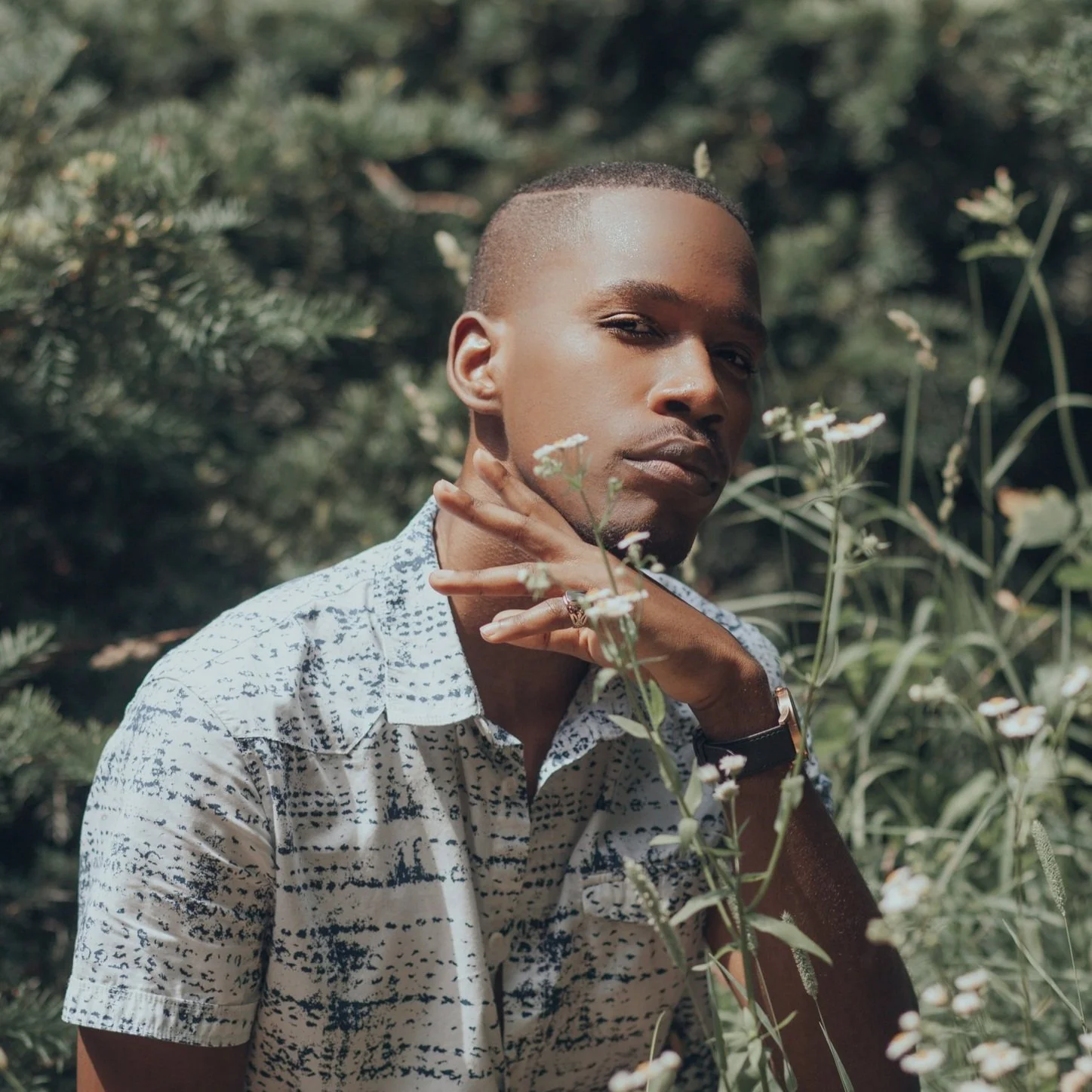 Guy | The Arnold Arboretum