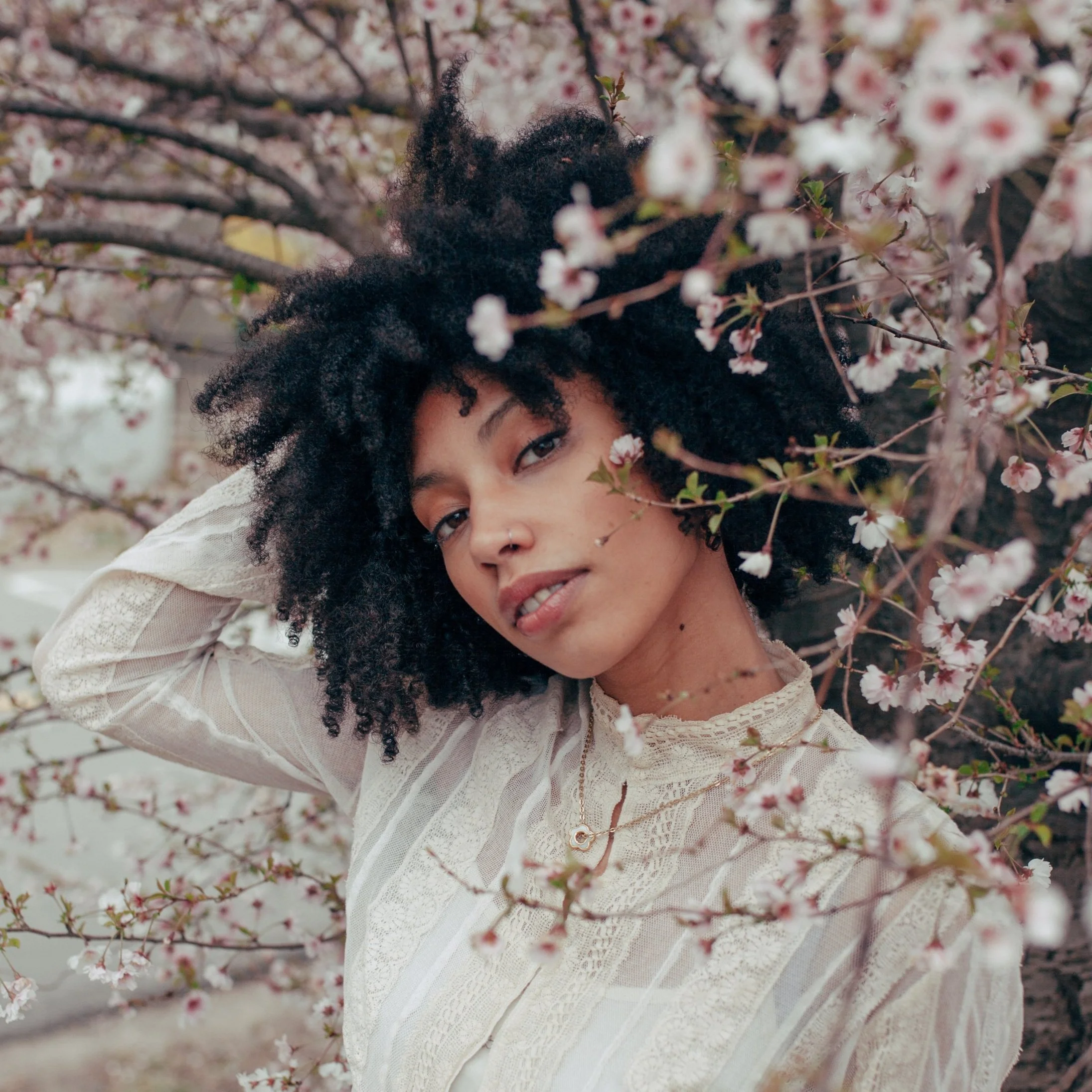 Maya Smith  | Cherry Blossom Portraits