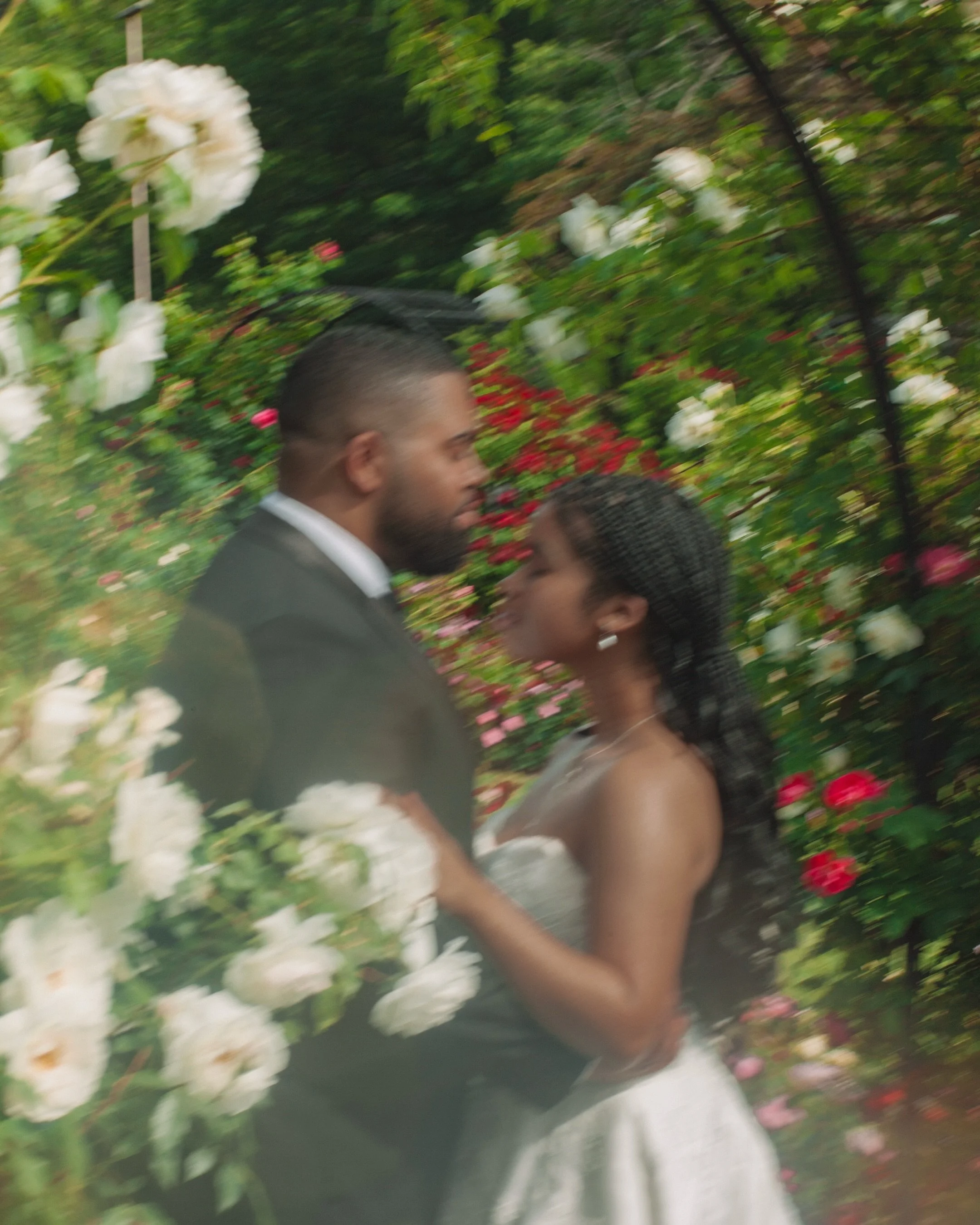 Part two of Daisy &amp; Josu&eacute;&rsquo;s pre-wedding story.

Before we wandered through the Arnold Arboretum, we started the afternoon surrounded by the blooms at the James P. Kelleher Rose Garden.

There&rsquo;s something timeless about this pla