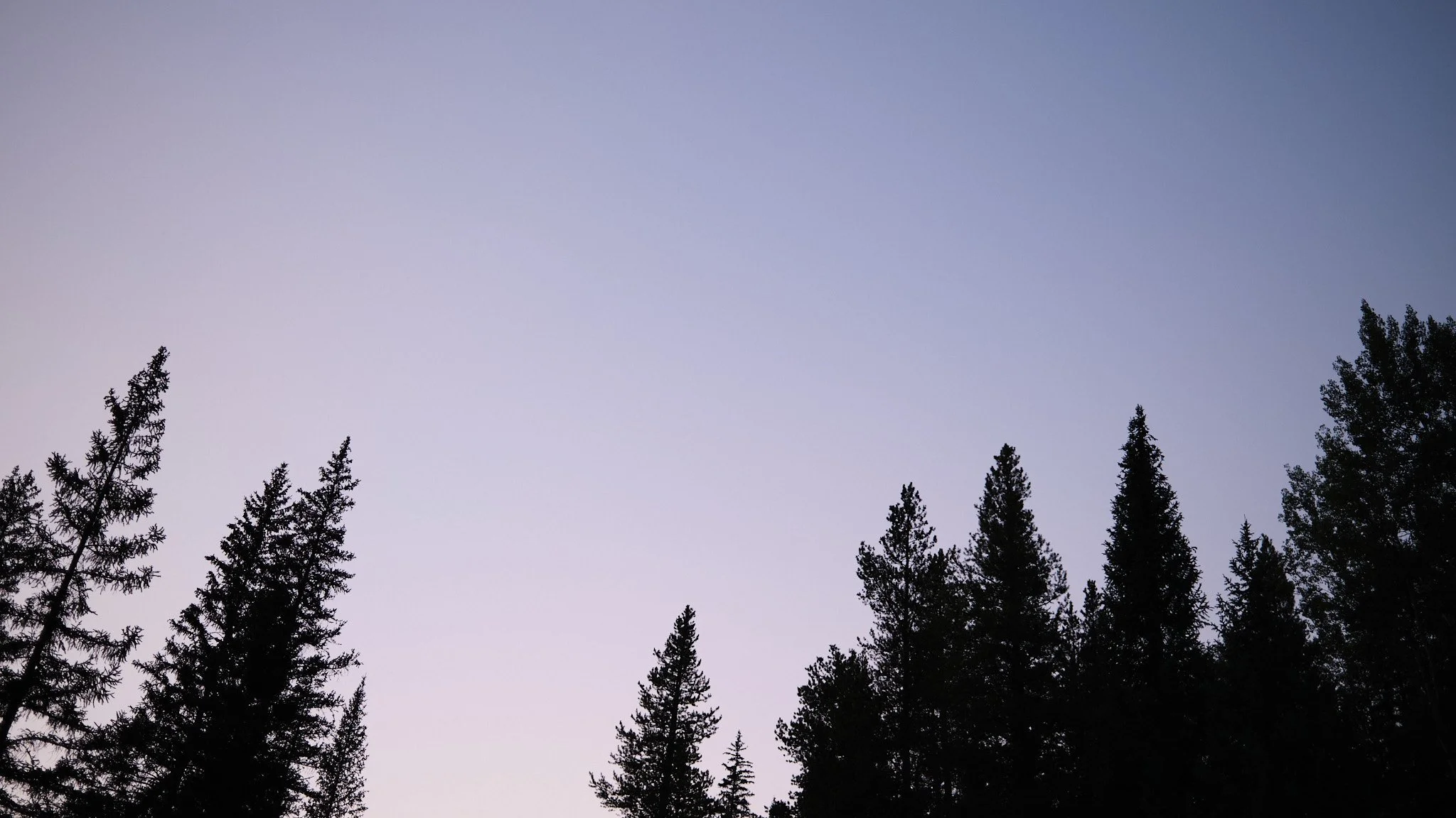 DSCF0931.jpg