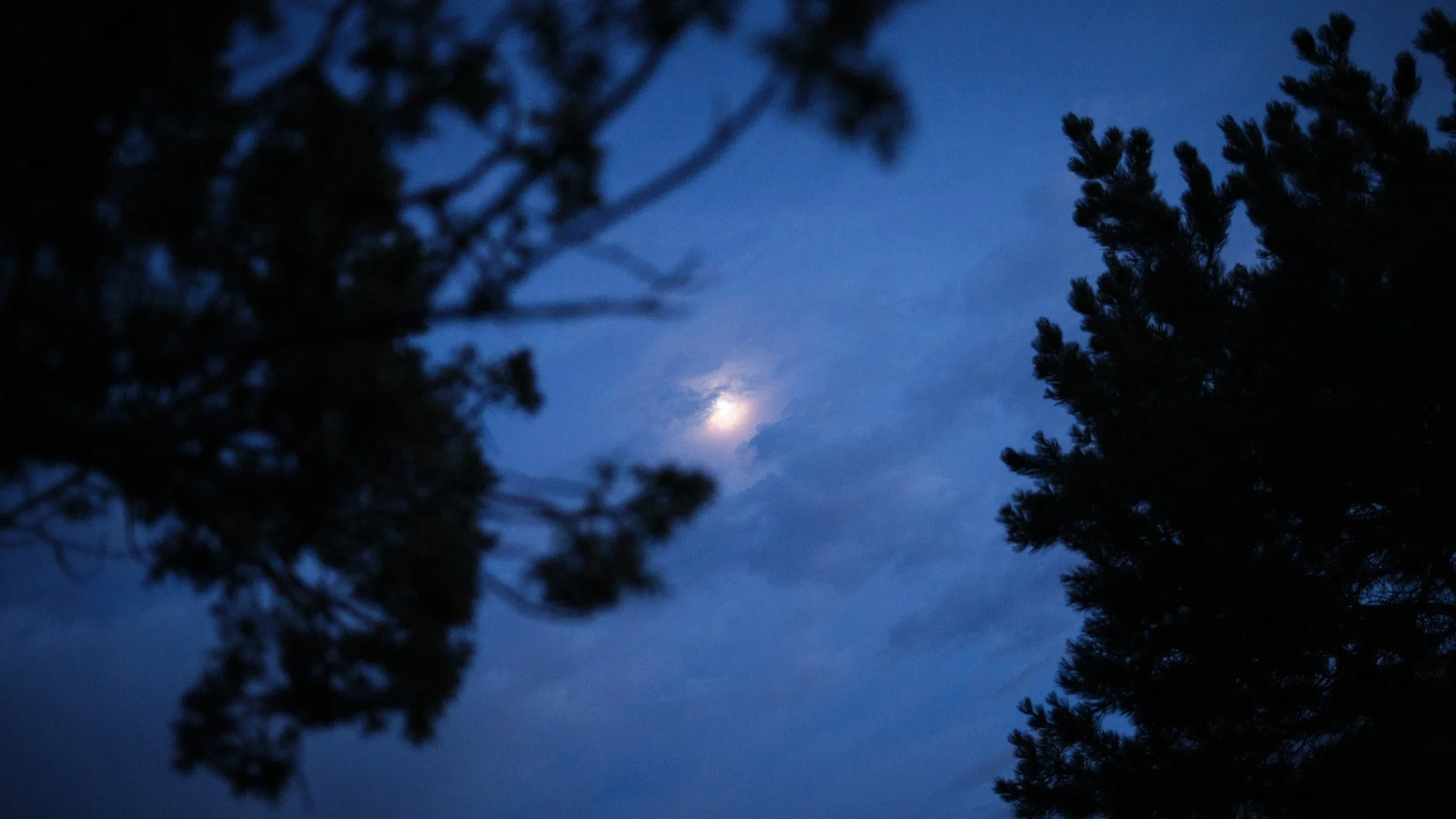 DSCF1486.jpg