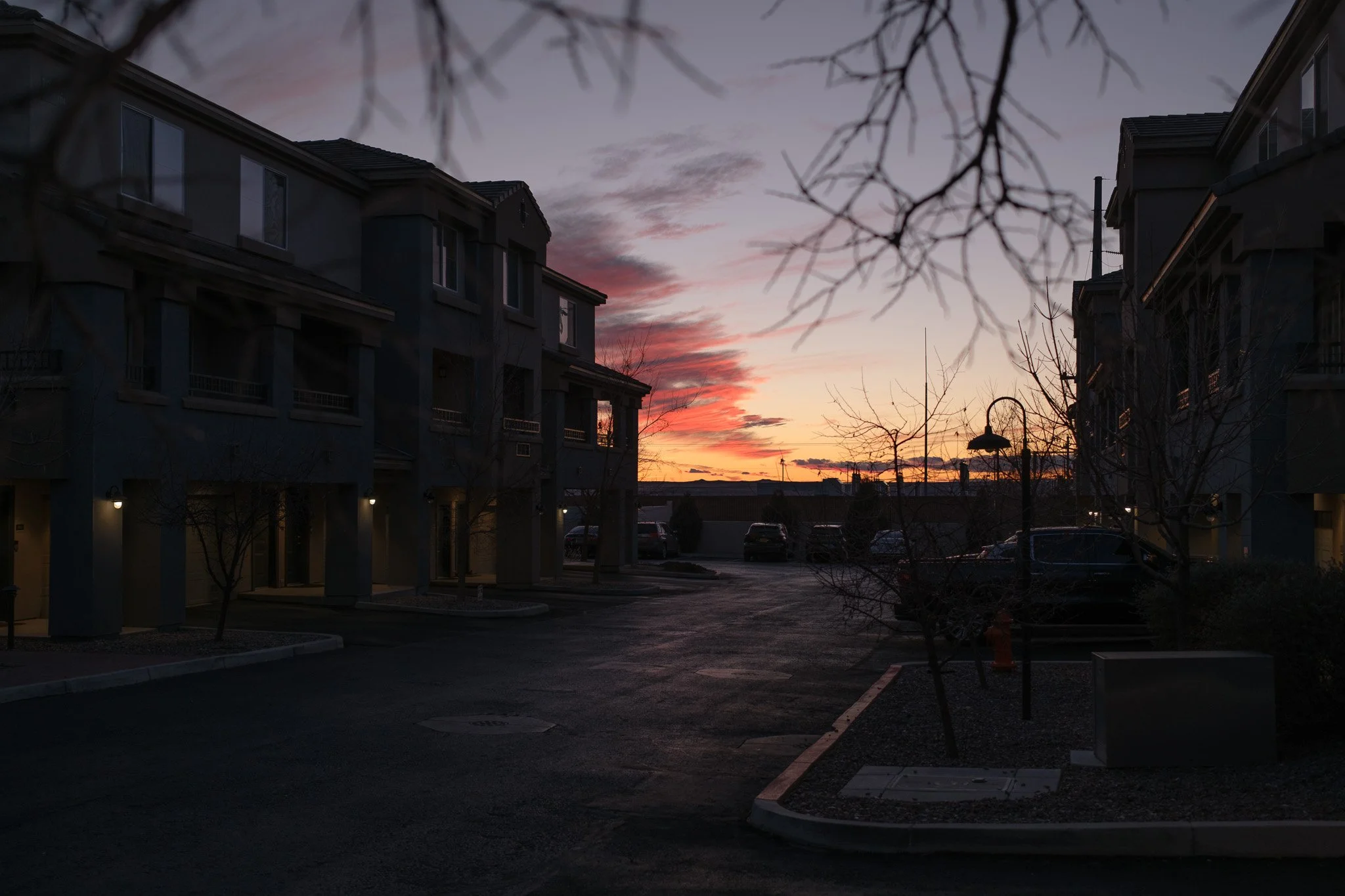 DSCF0853.jpg