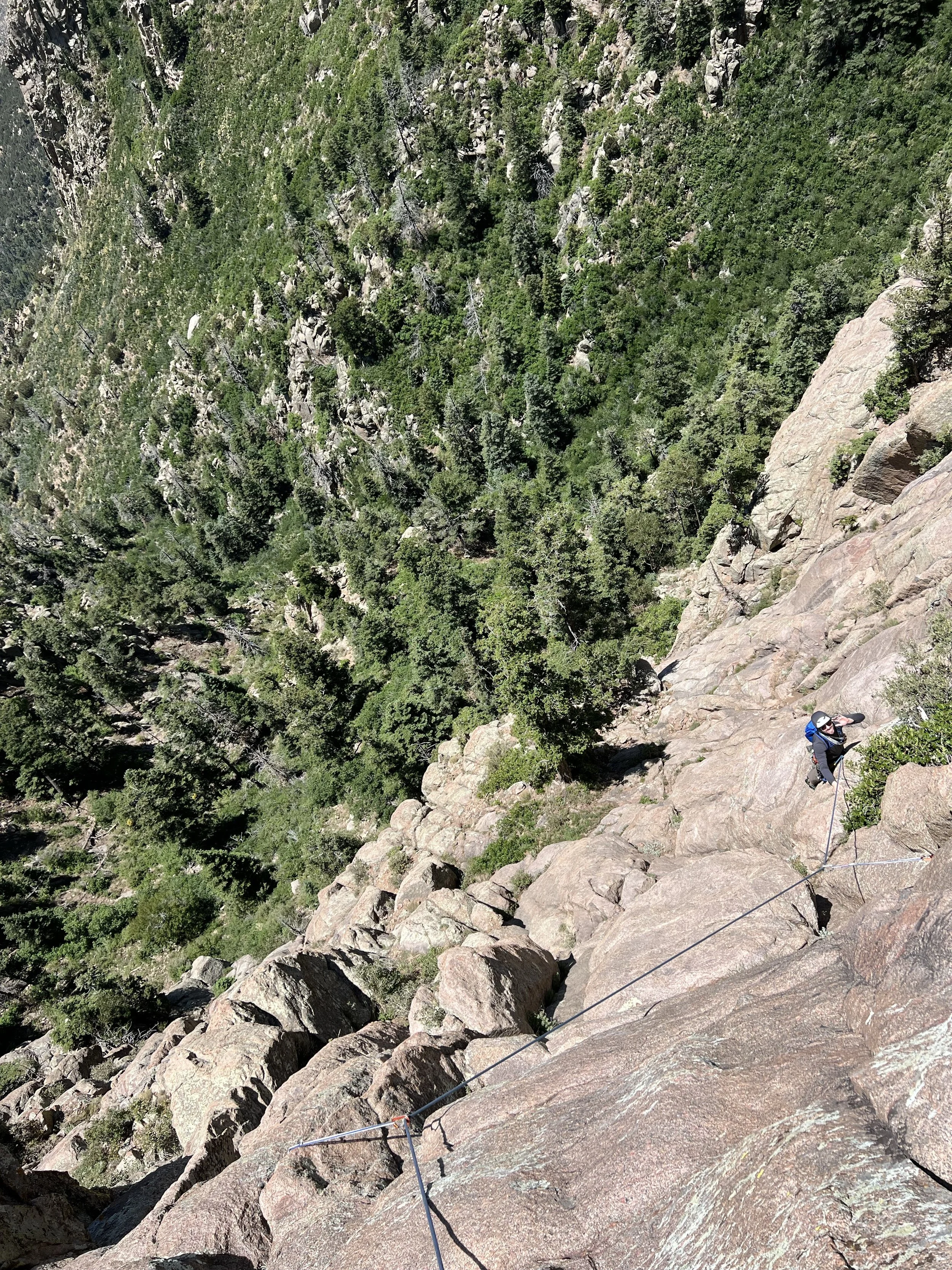A person with a helmet and harness climbing a steep rocky mountain face secured with safety ropes, overlooking a vast forested landscape.