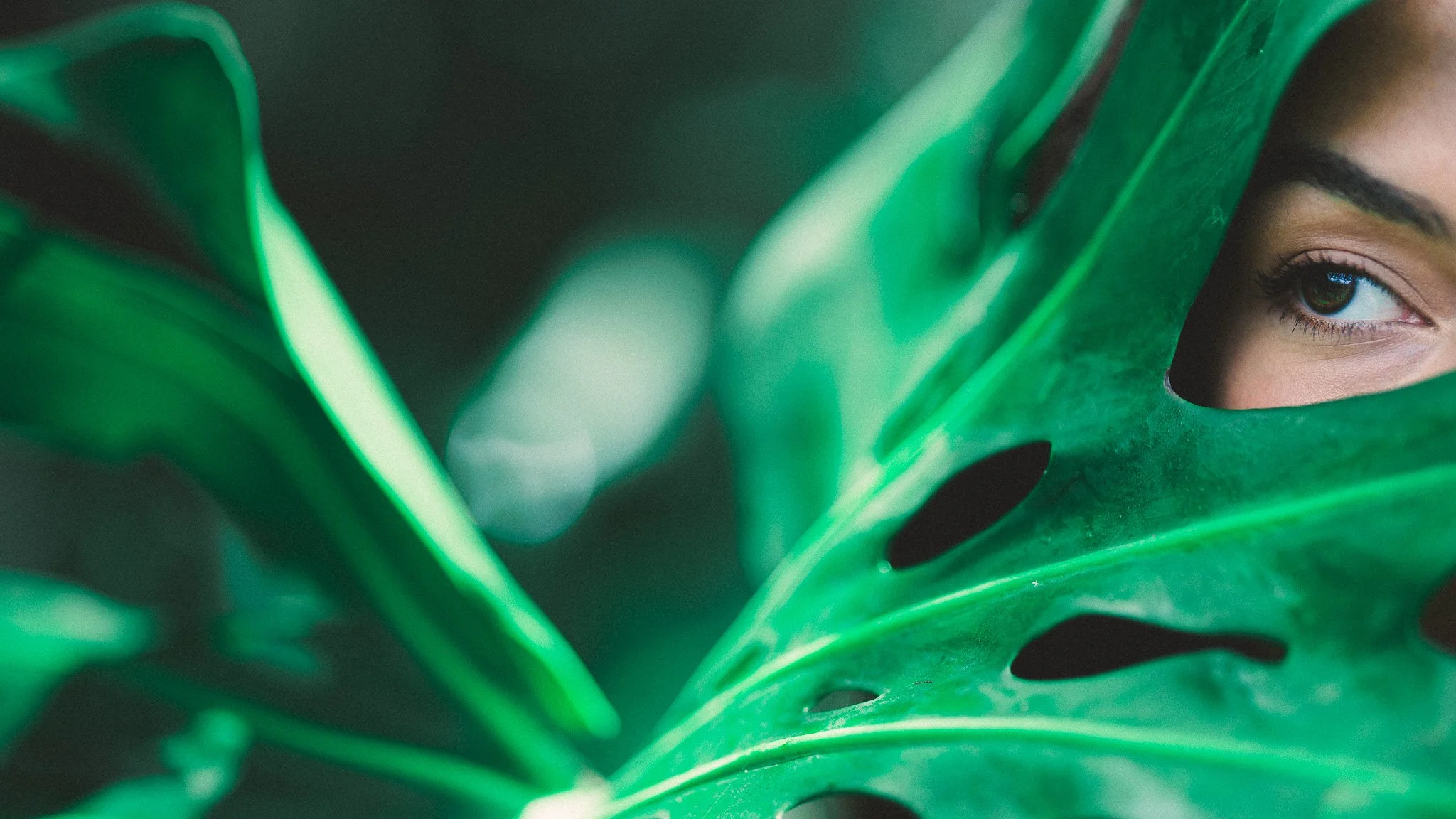 Close-up photo of a person's eye peeking through a large green leaf with cutouts.