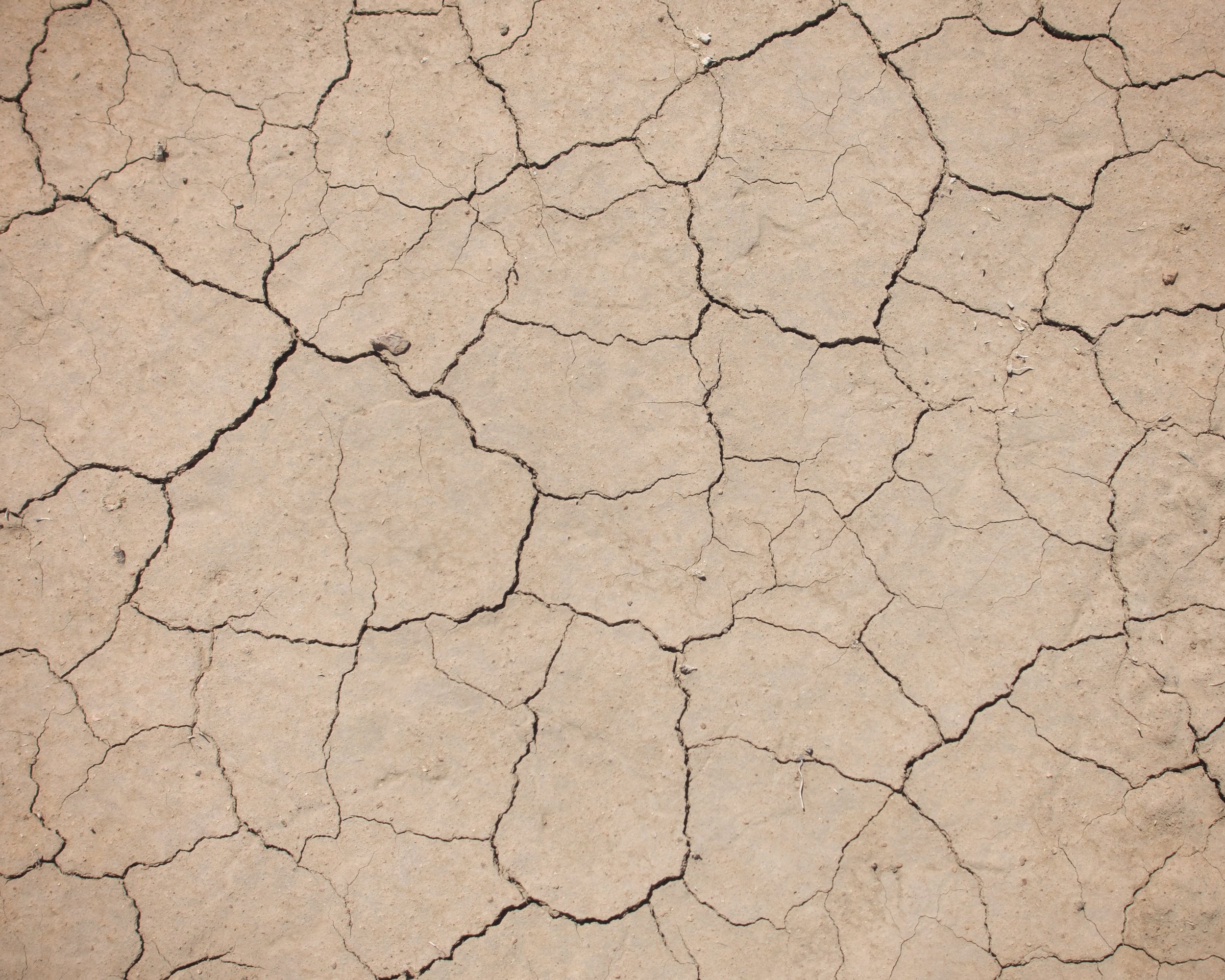 Close-up of cracked, dry, beige soil or clay surface.