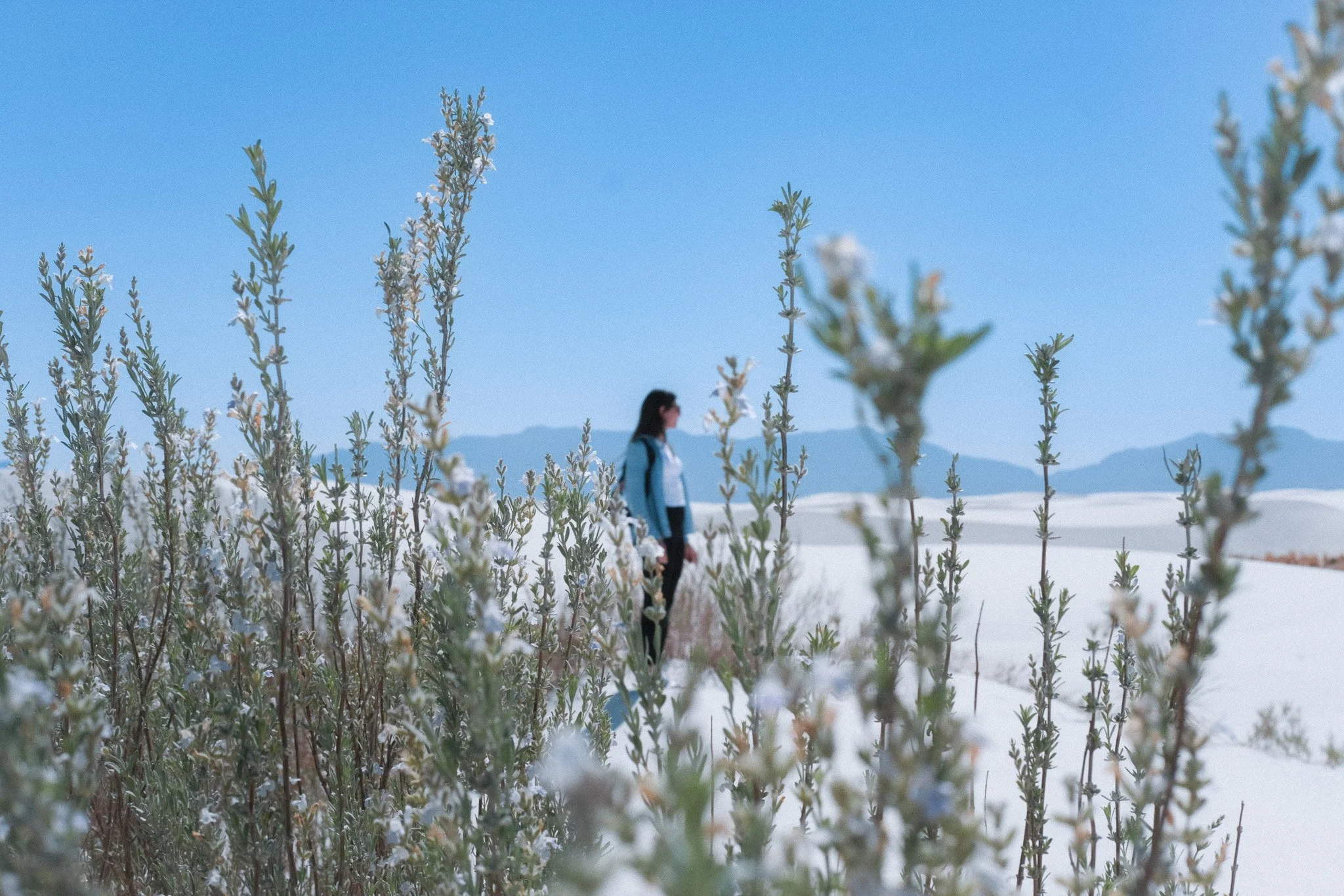 A woman in a blue jacket stands among tall flowering plants in a bright outdoor setting with mountains in the background.