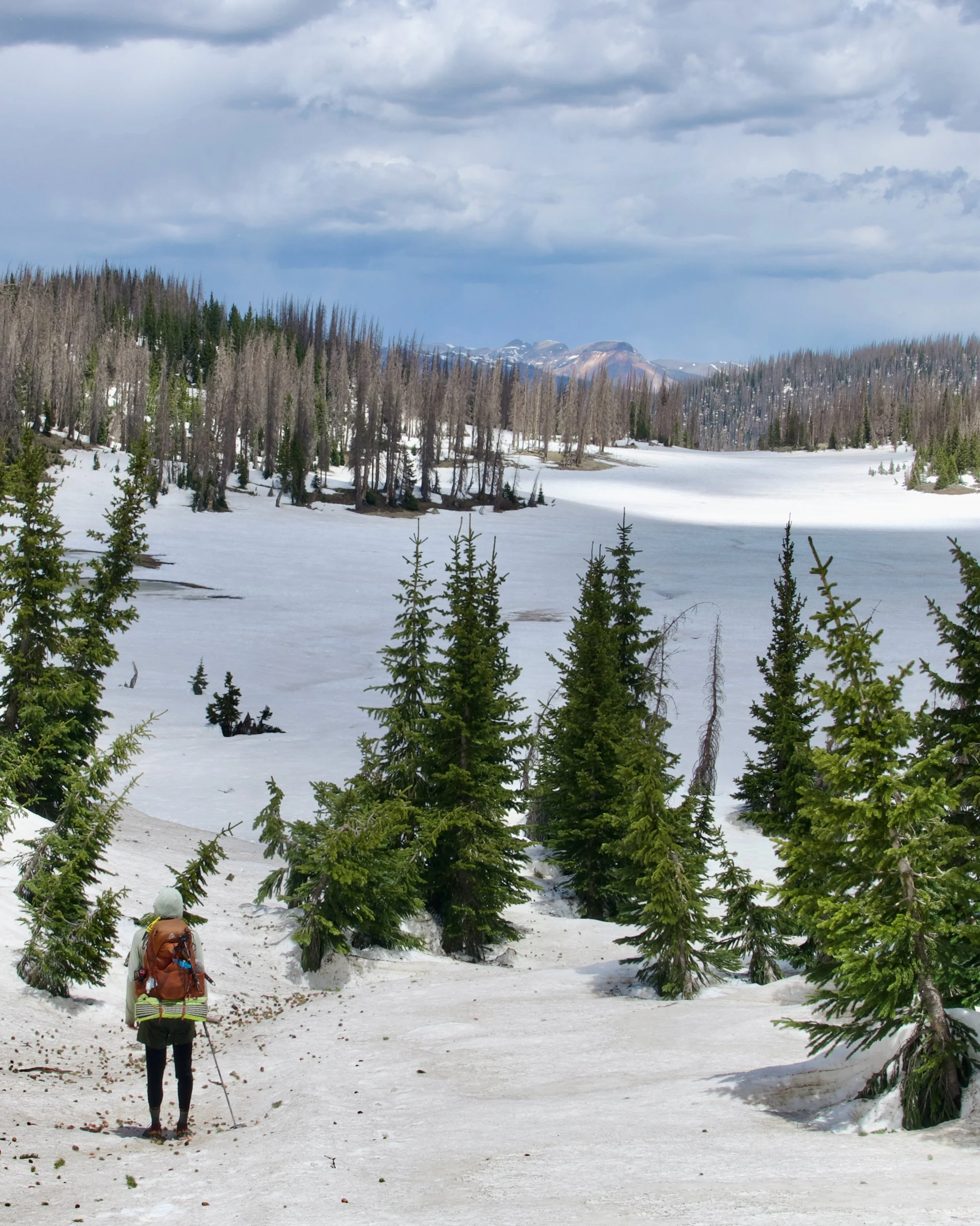 A person with a backpack and a hat hiking through a snow-covered forest with tall green trees, snowy mountains in the distance, and cloudy sky overhead.