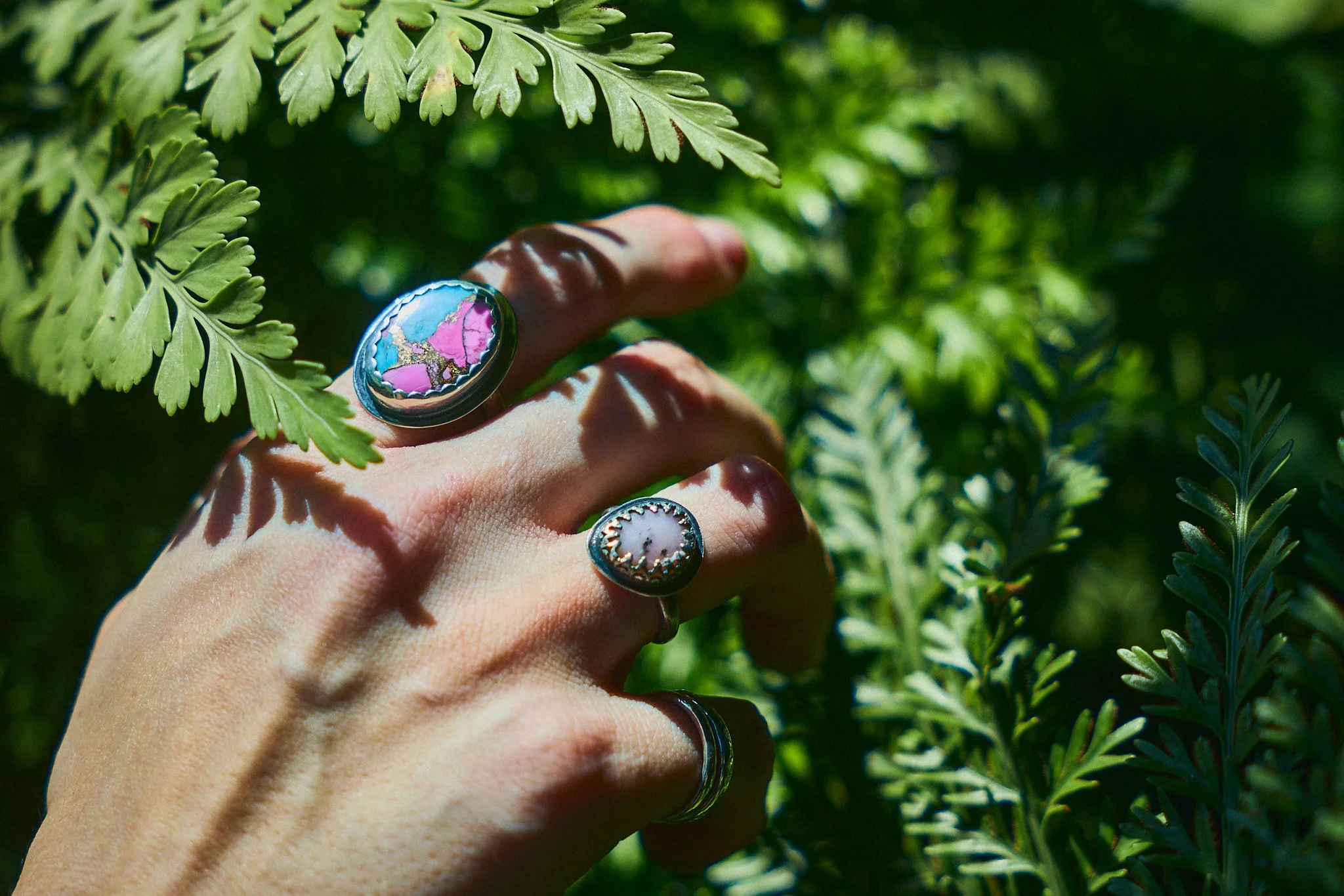 Mtn Fern 1.jpg