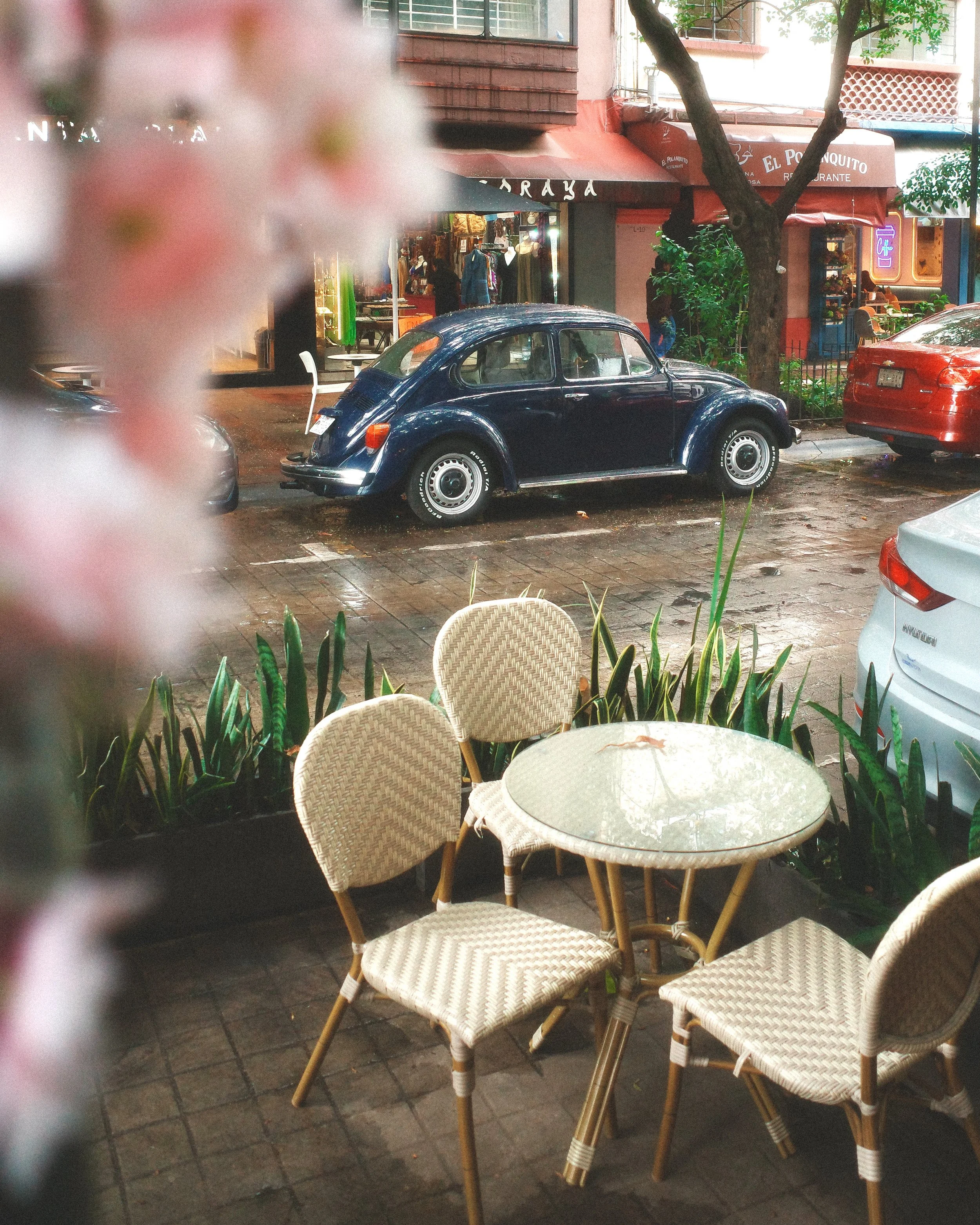 Outdoor cafe seating area with empty wicker chairs and a round table, surrounded by green plants, in front of a restaurant with a red canopy and a sign that reads 'El Polonquito'.
