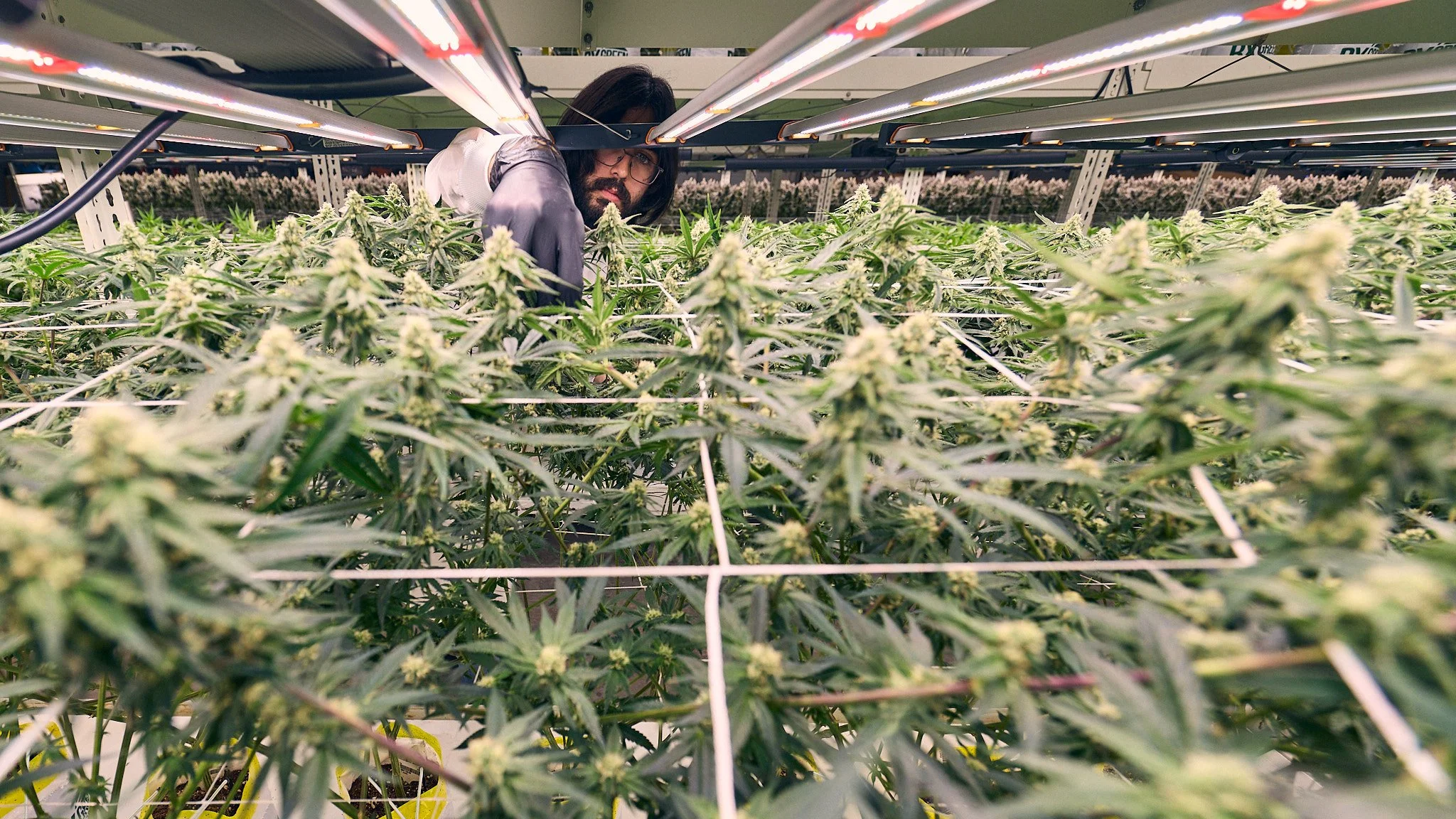 WR Cultivation 15.jpg
