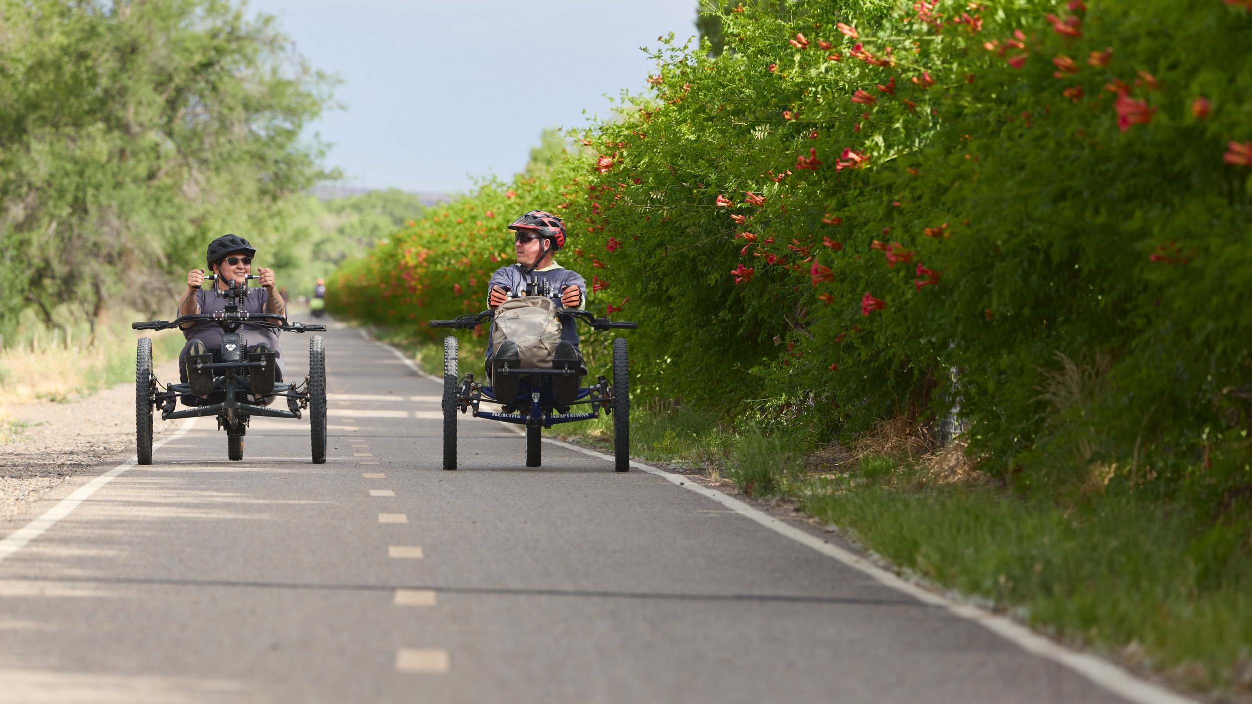 Two people riding recumbent tricycles on a paved road surrounded by green trees and bushes with pink flowers.