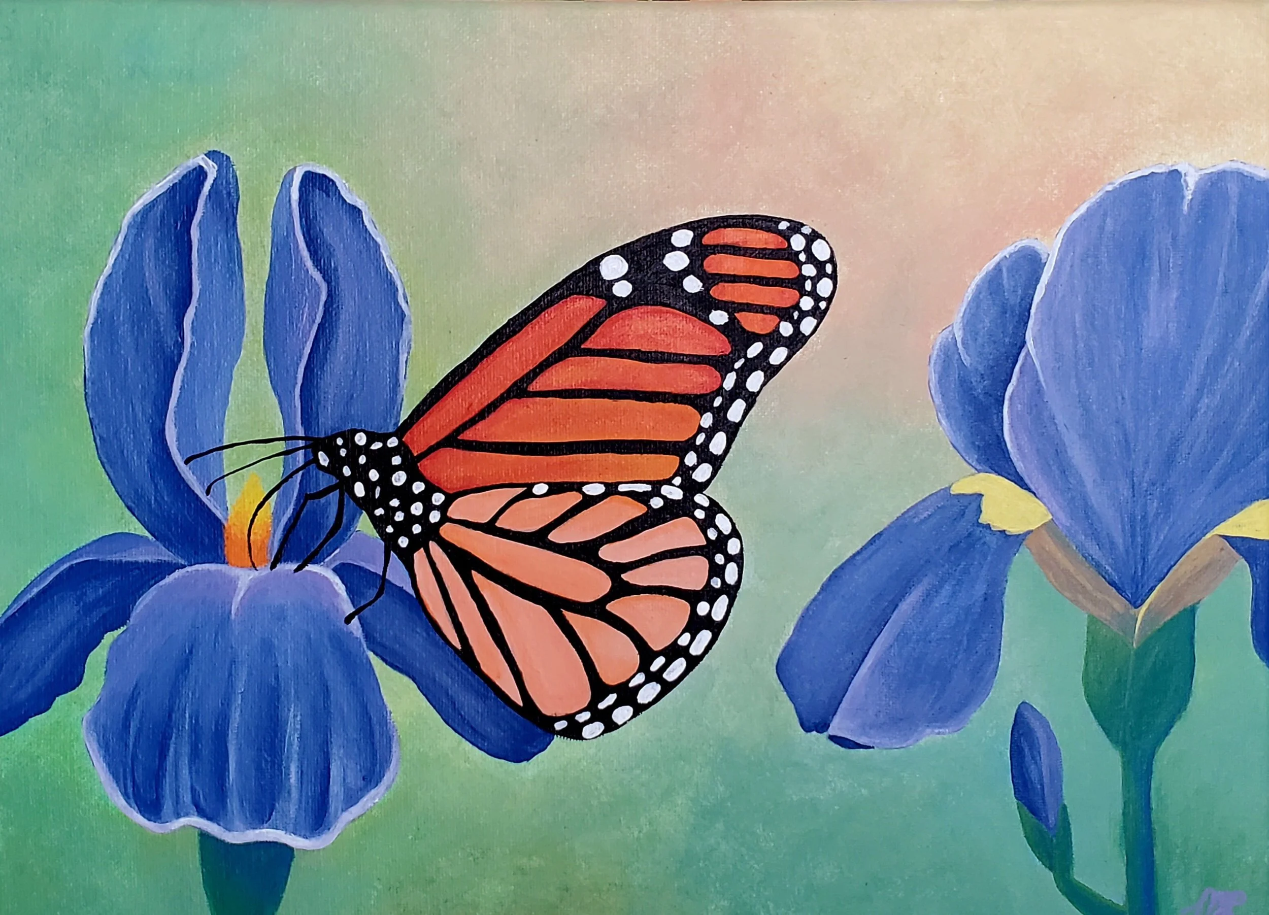 "Butterfly and Iris" - Prints for Sale  11" X 14"
$40