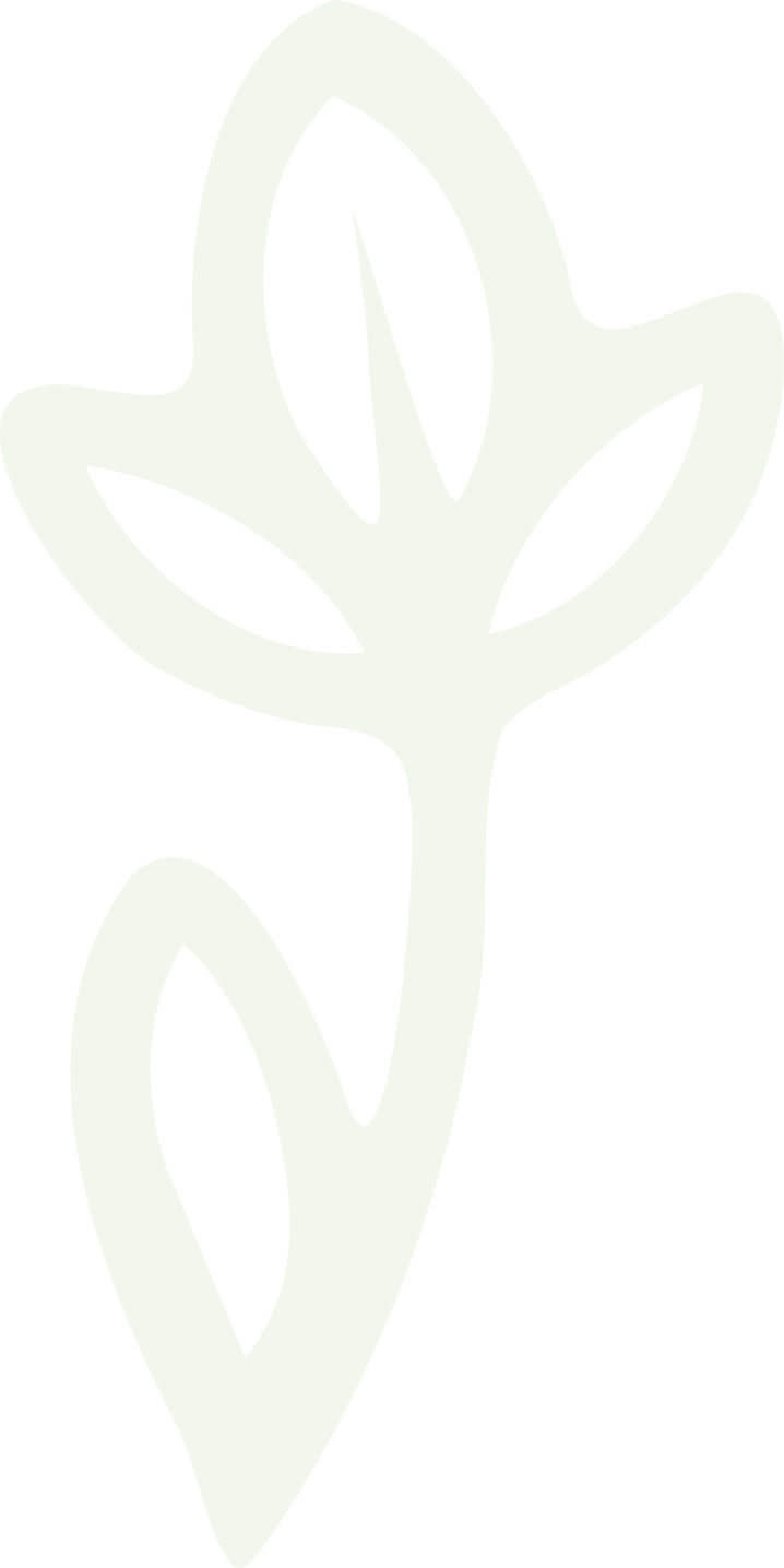 Stylized white flower with elongated petals on a black background.