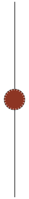 Small track saw divider image