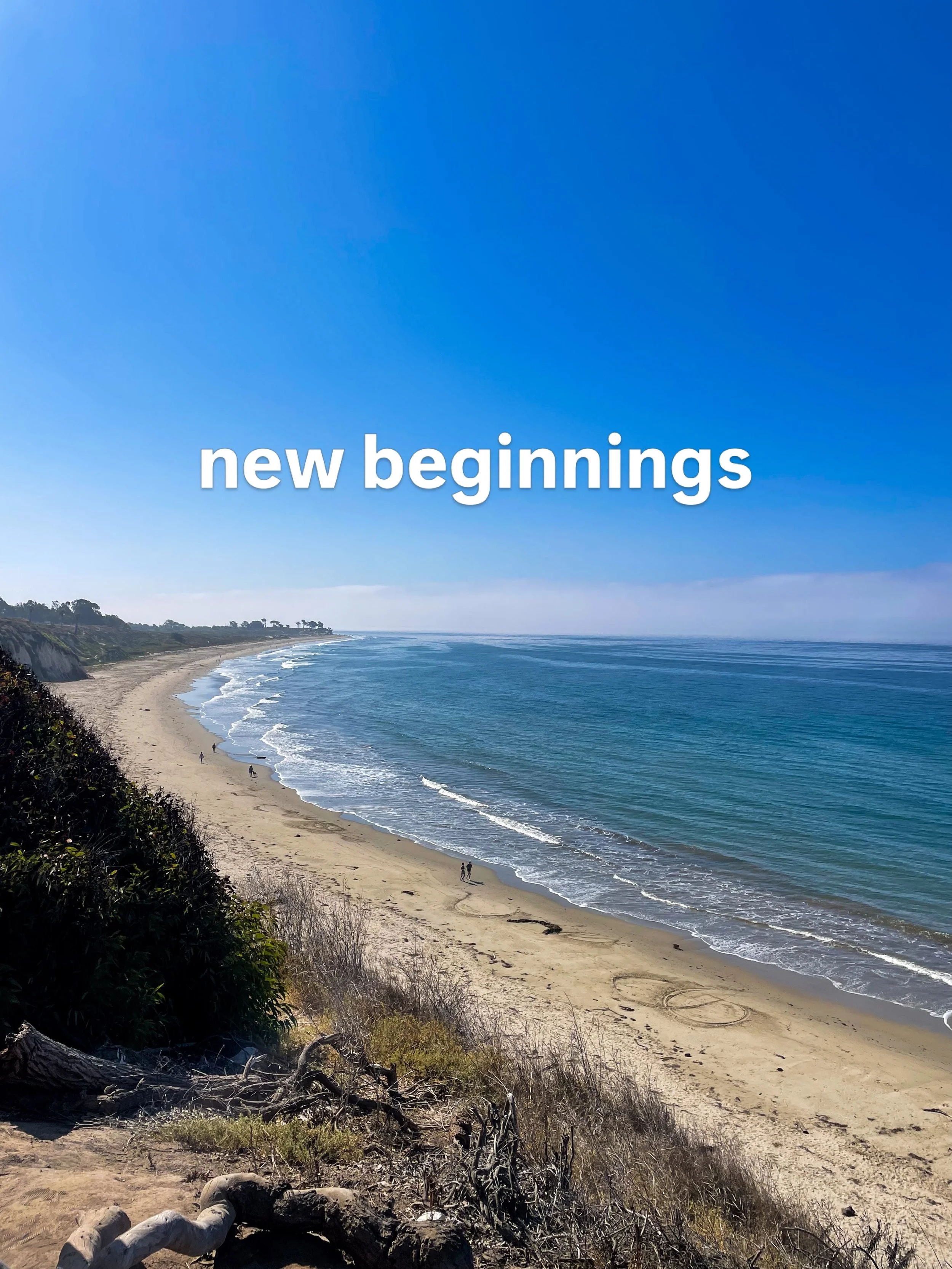 New beginnings are hard. 

Adjusting to a new academic location, people, work environment, a new chapter of my life. 

I&rsquo;ve moved frequently to pursue my educational goals and thought this time around for my PhD it would be a little easier to a