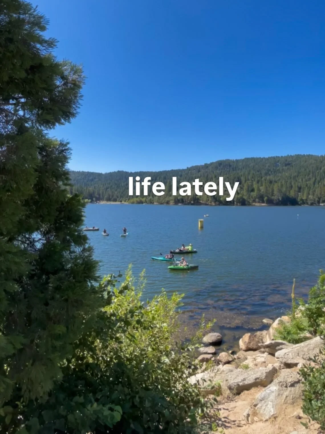 life lately 

august 2026