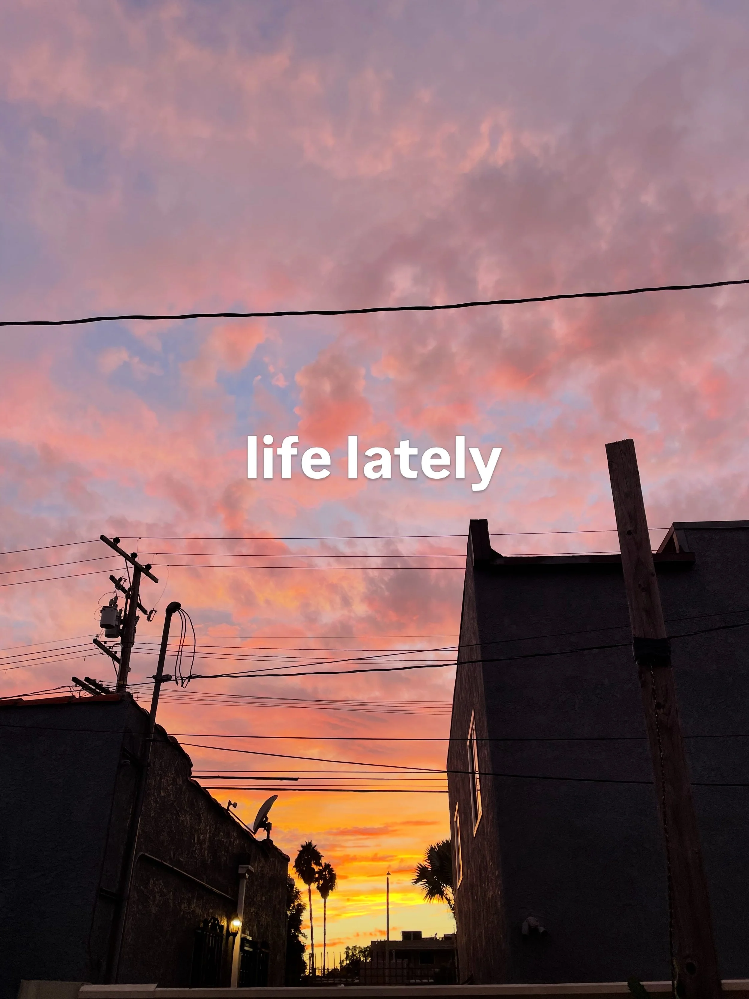 life lately 

september 2026