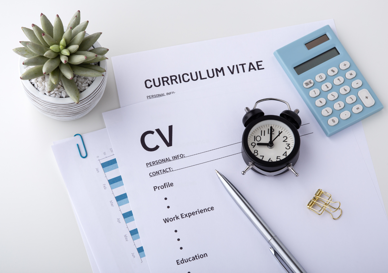Curriculum Vitae (CV) Review