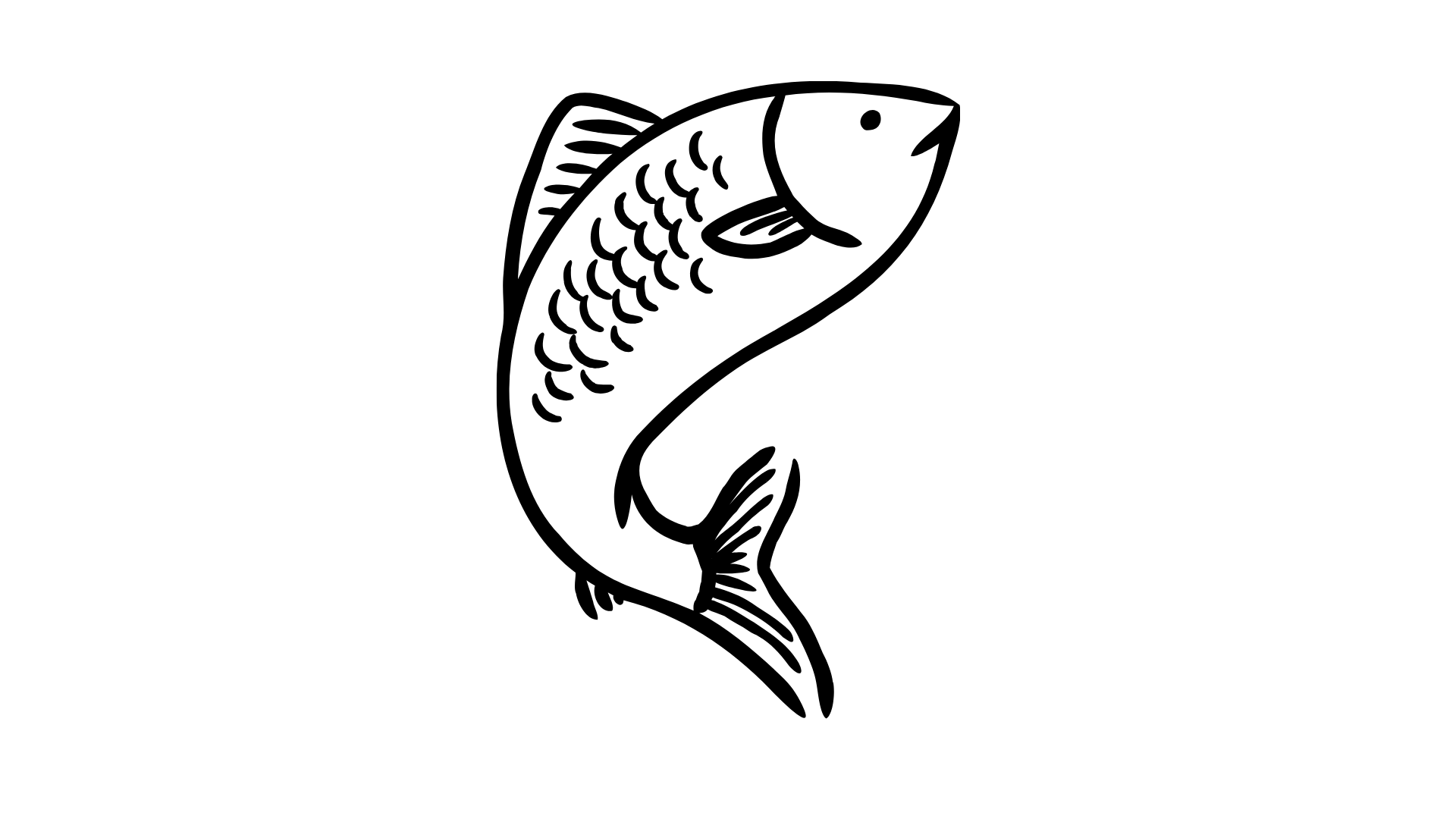 Black and white illustration of a fish, possibly a salmon, with detailed scales and fins.