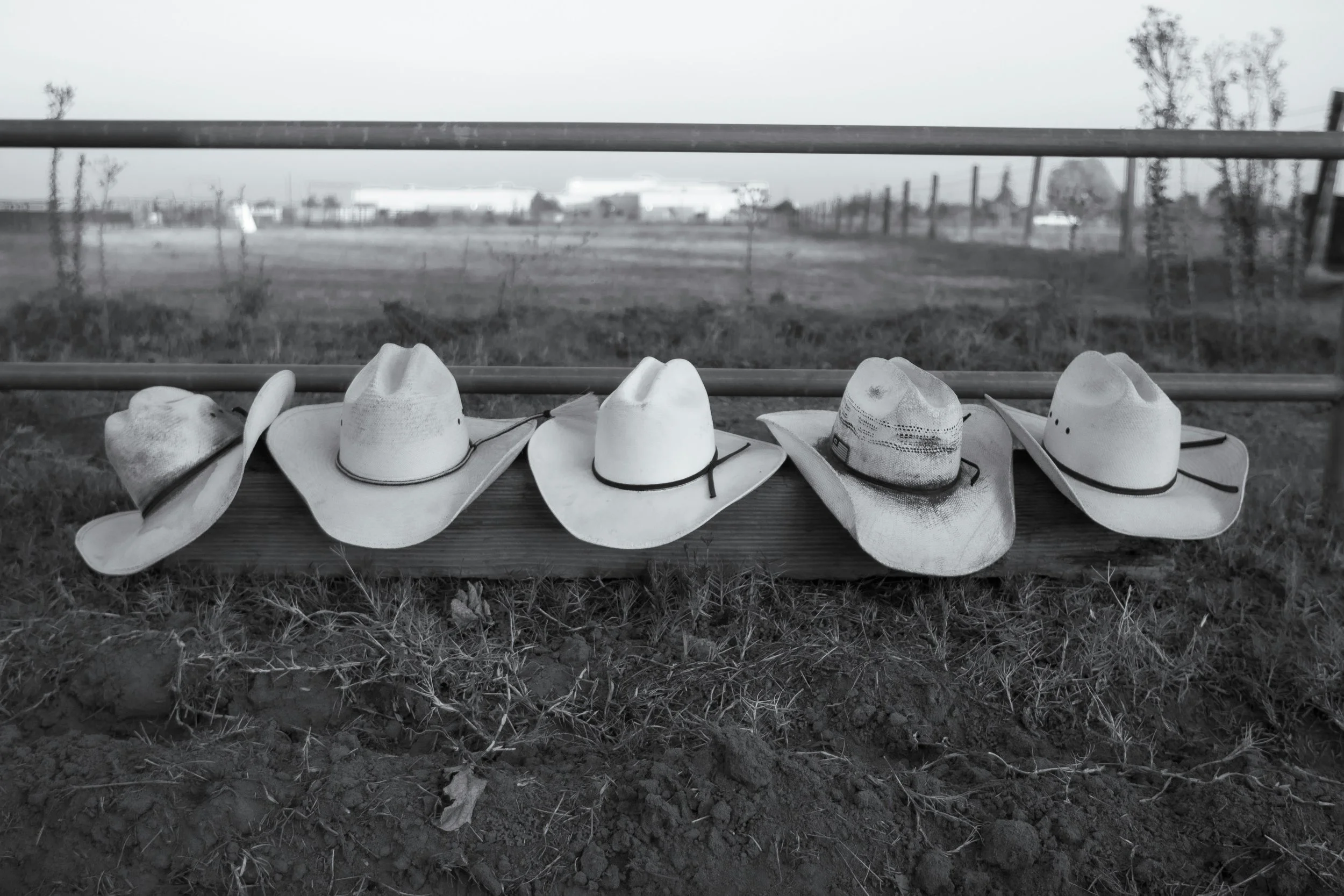 Six cowboy hats placed on a wooden railing, with a rural landscape in the background, in black and white.