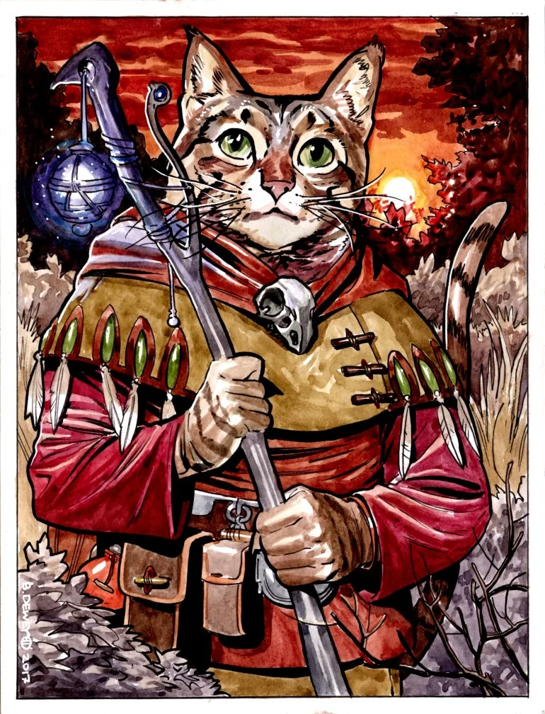 Wizard Cat 1