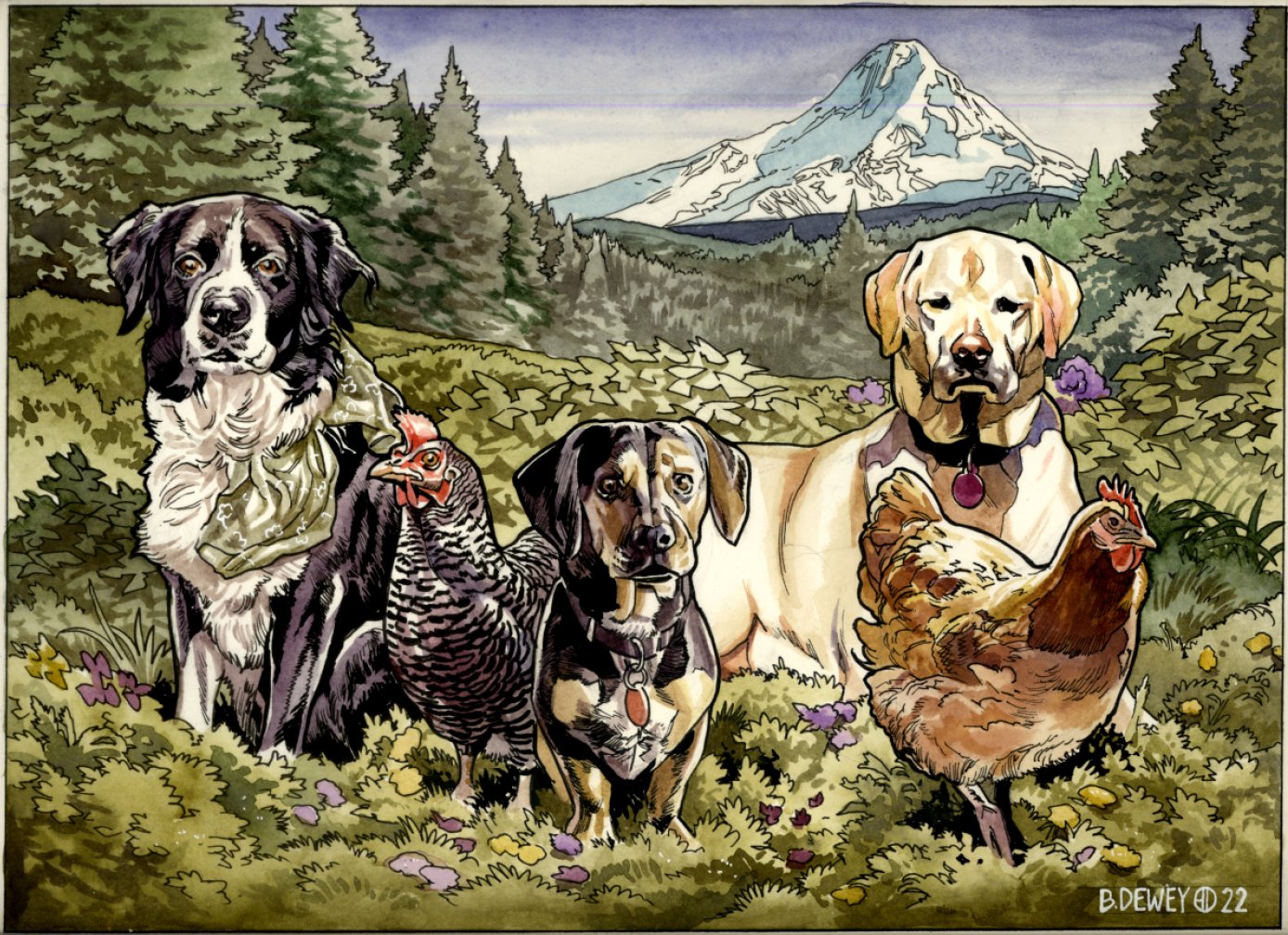 Mountain Pets