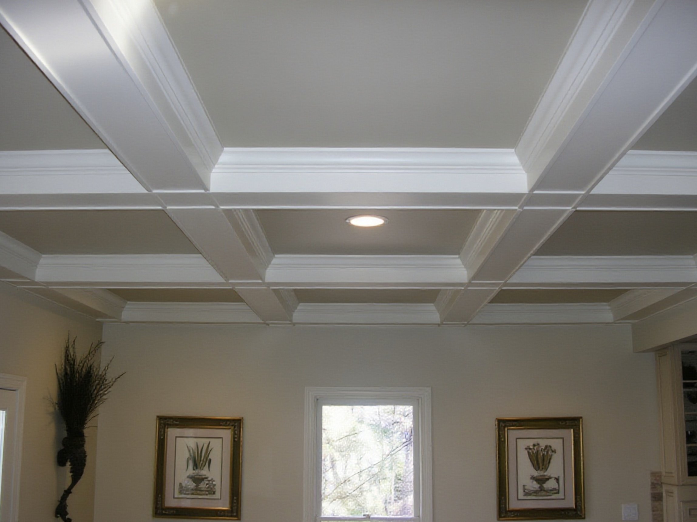 Living room with beige walls, a custom white coffered ceiling, a window overlooking trees, framed botanical art on the wall, and a tall decorative plant in the corner.