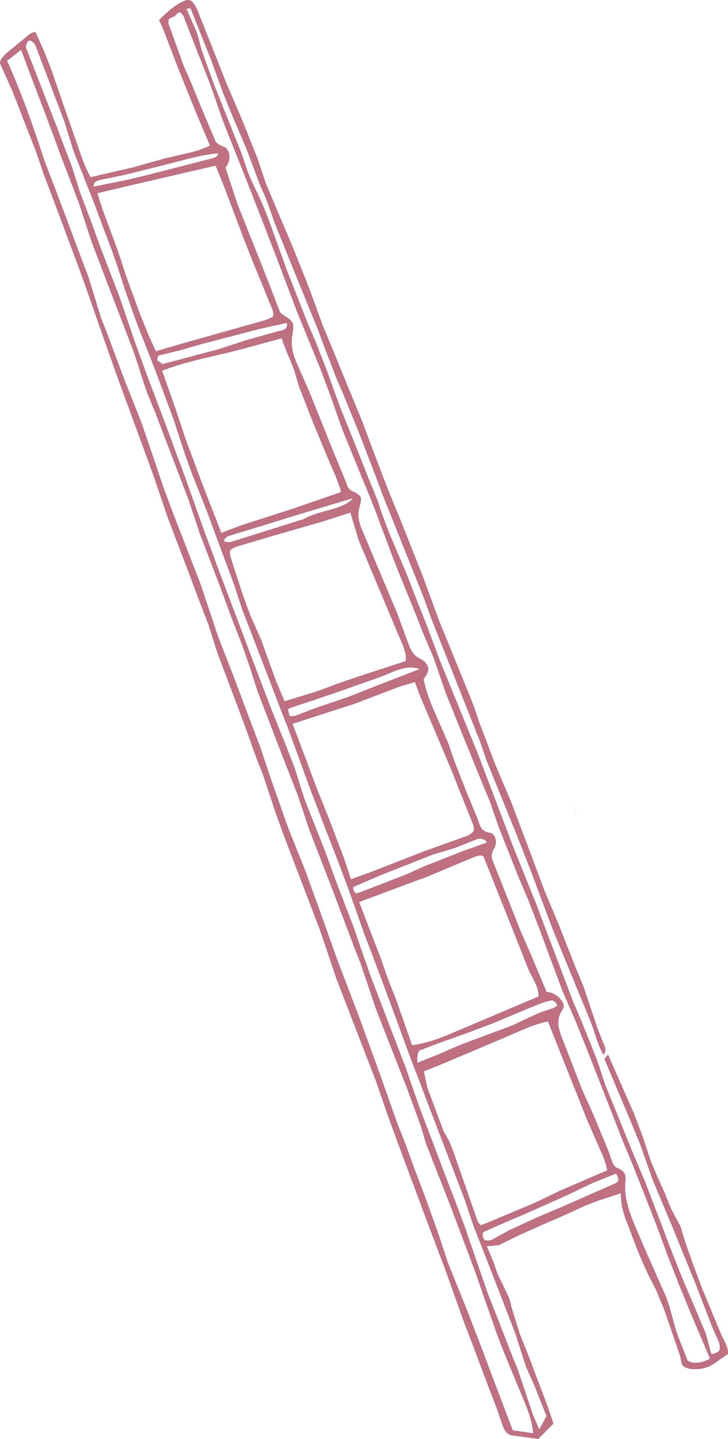 Outline drawing of a ladder with multiple steps, shown at an angle.