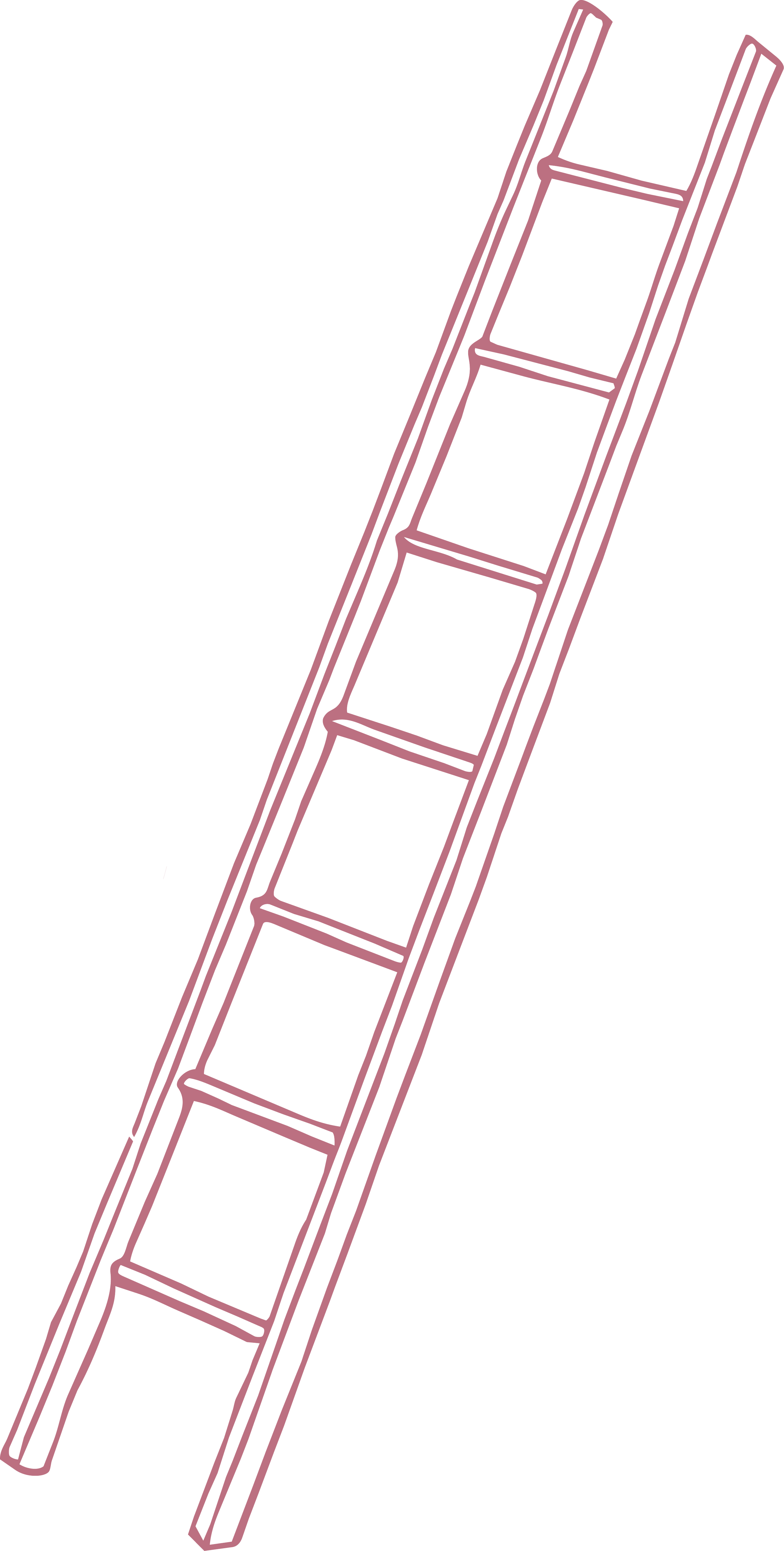 Outline drawing of a ladder with multiple steps, depicted in pink against a black background.