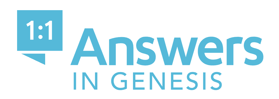Logo of Answers in Genesis with a blue speech bubble containing '1:1' and the text 'Answers in Genesis' underneath.