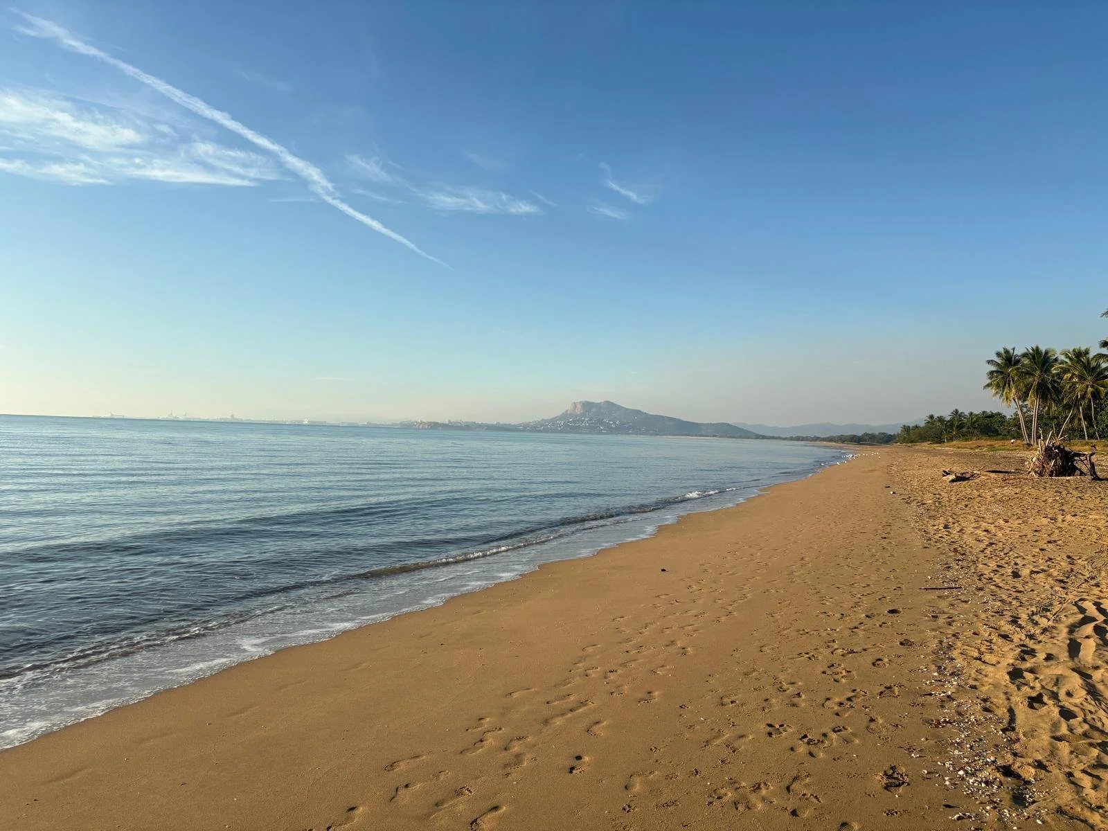 A peaceful beach scene with golden sand, calm ocean waves, and a clear blue sky. A small group of palm trees line the right side of the beach, with a mountain in the distant background.