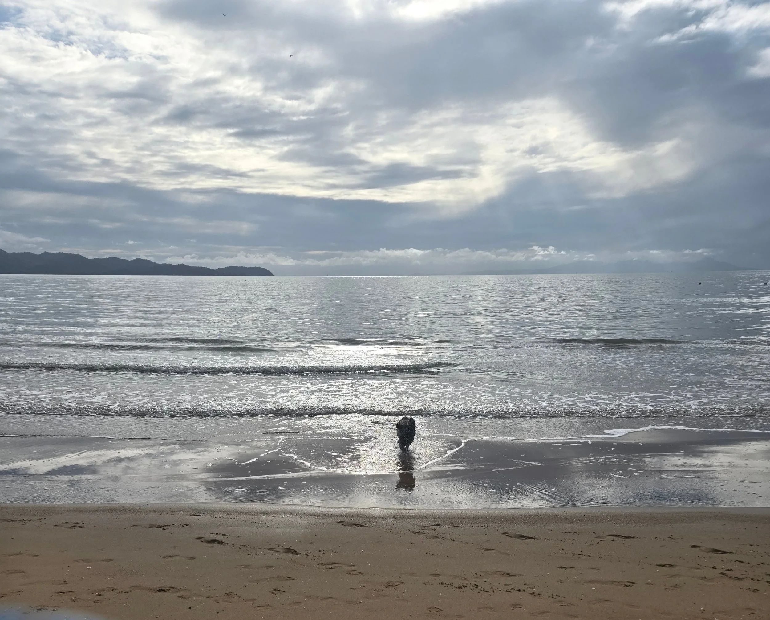 A beach scene with a person walking along the shore, wet sand in the foreground, calm water, distant landforms, and a cloudy sky.