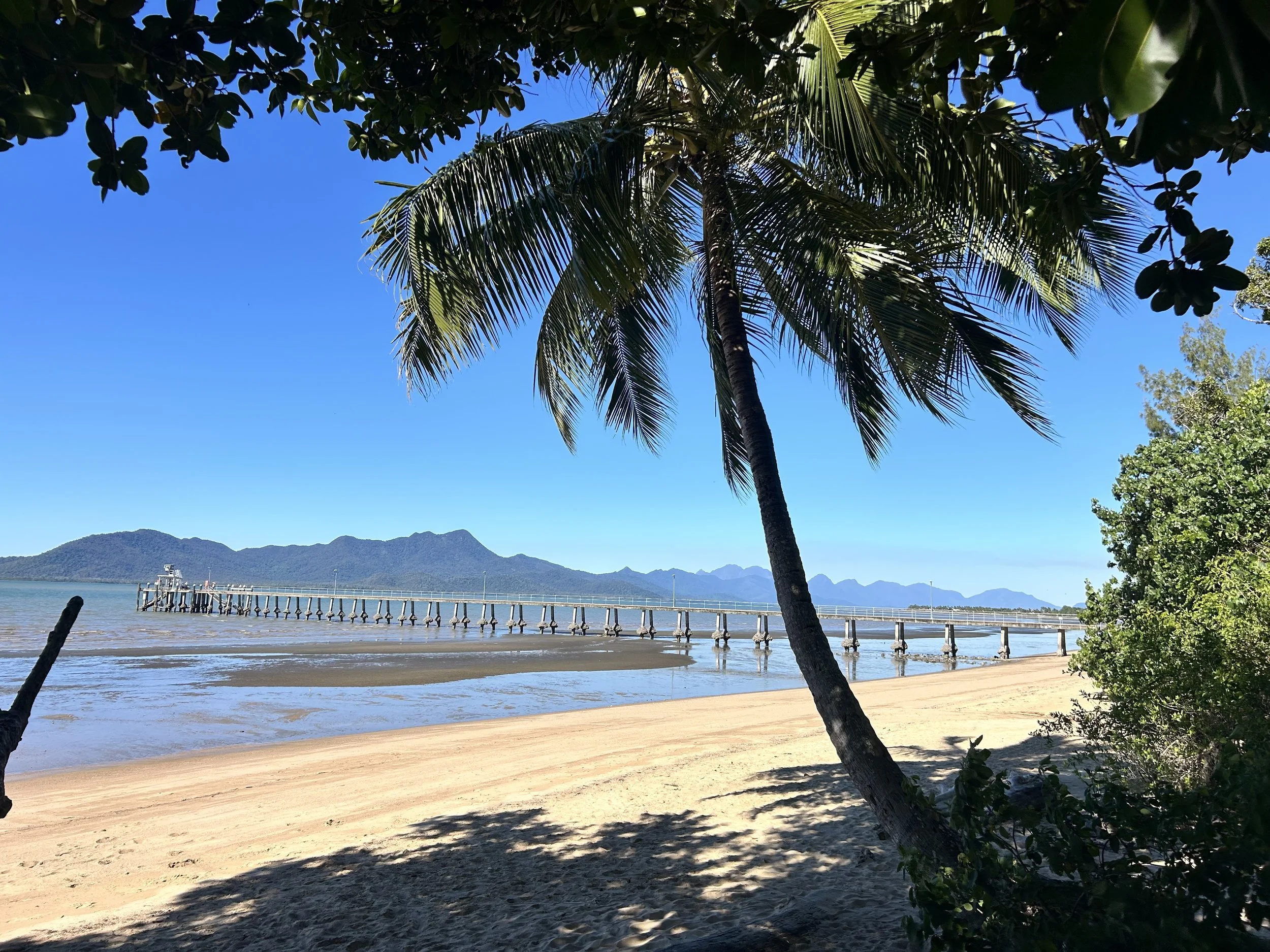 A tropical scene with a sandy beach, a palm tree in the foreground, a pier extending into the water, and mountains in the distance under a bright blue sky.