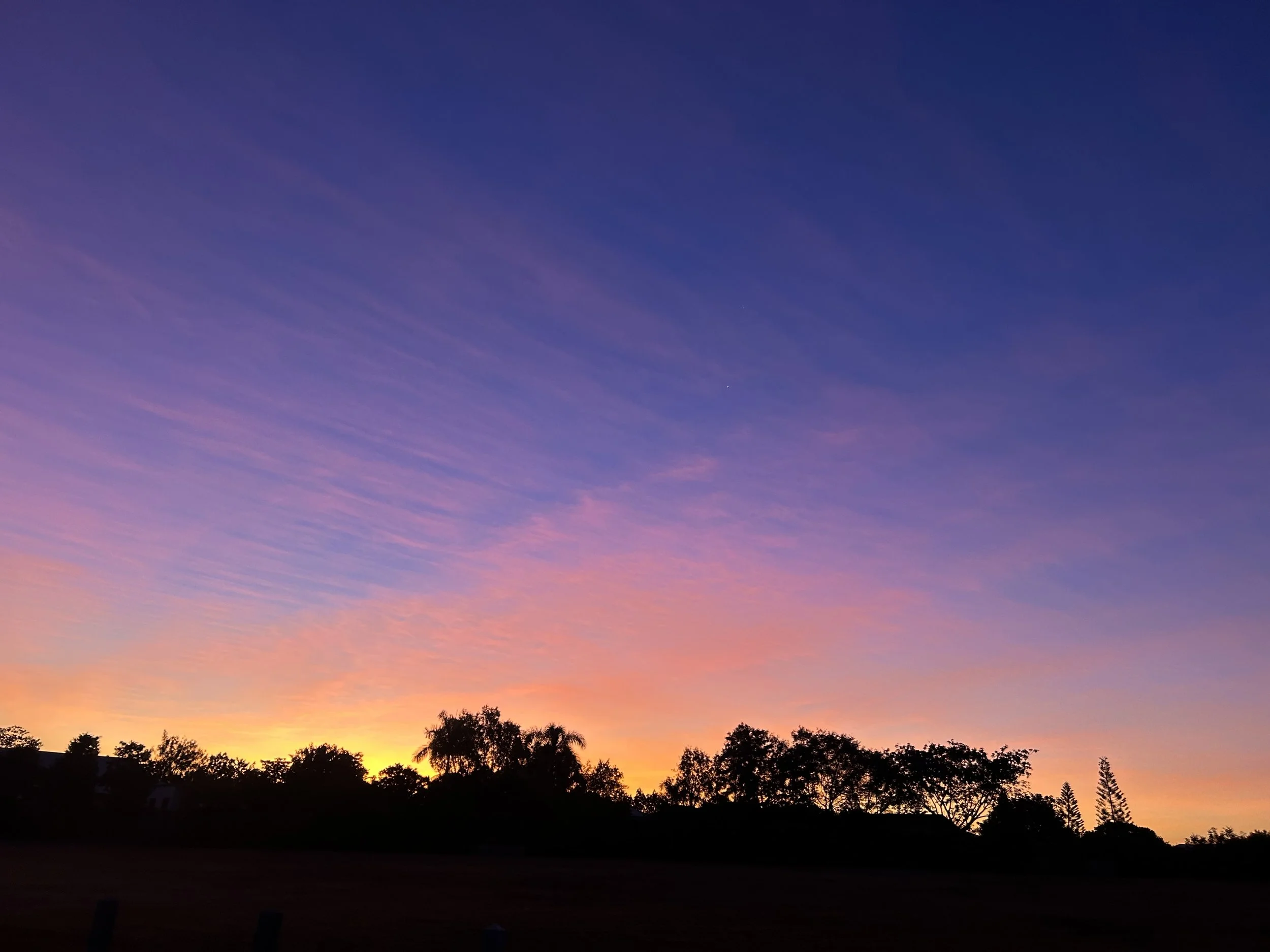 Colorful sunset sky with pink, purple, and orange hues and silhouettes of trees at the horizon.