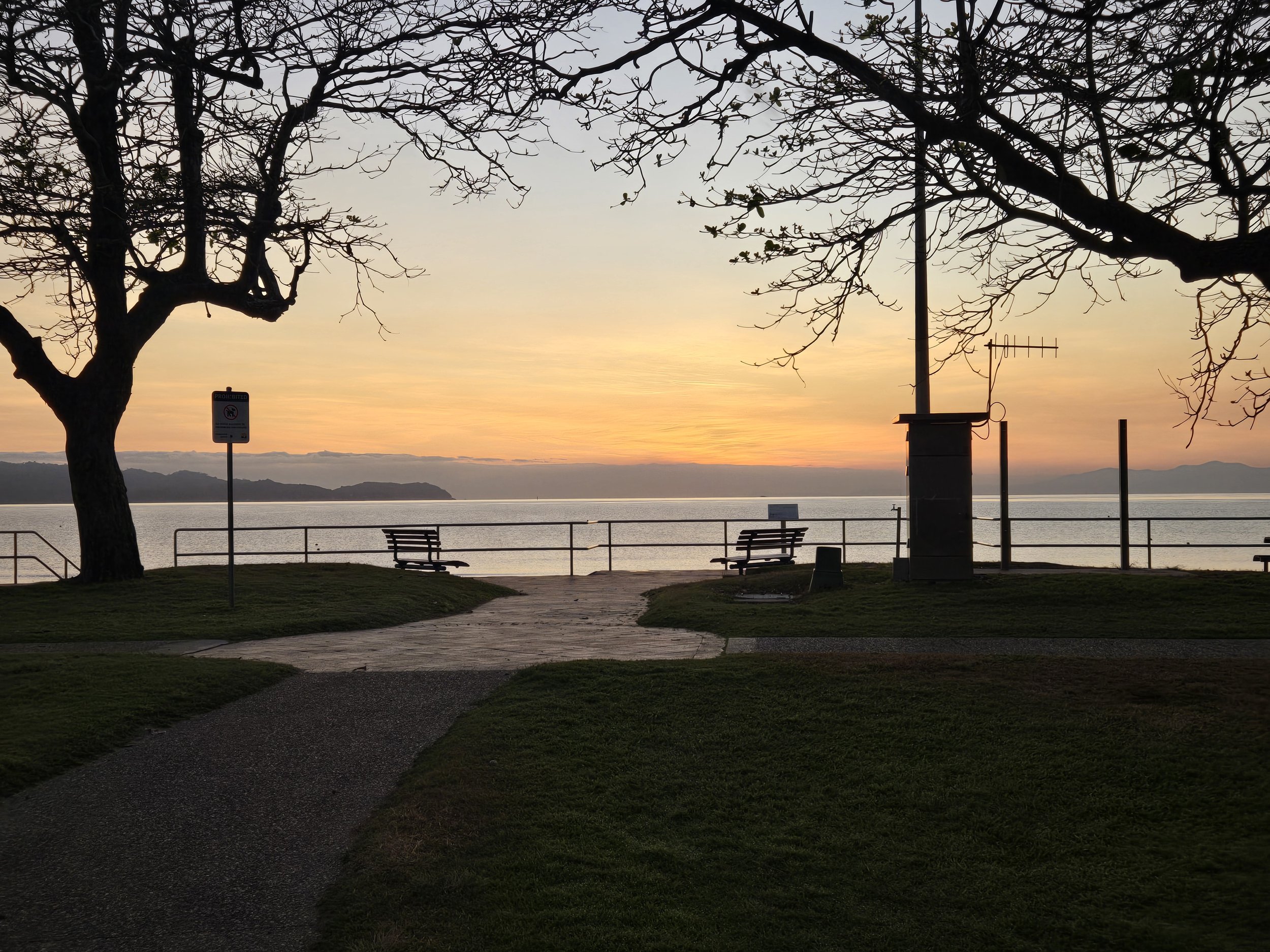 A sunset over a waterfront park with trees, benches, a sign, and an antenna, overlooking distant mountains.