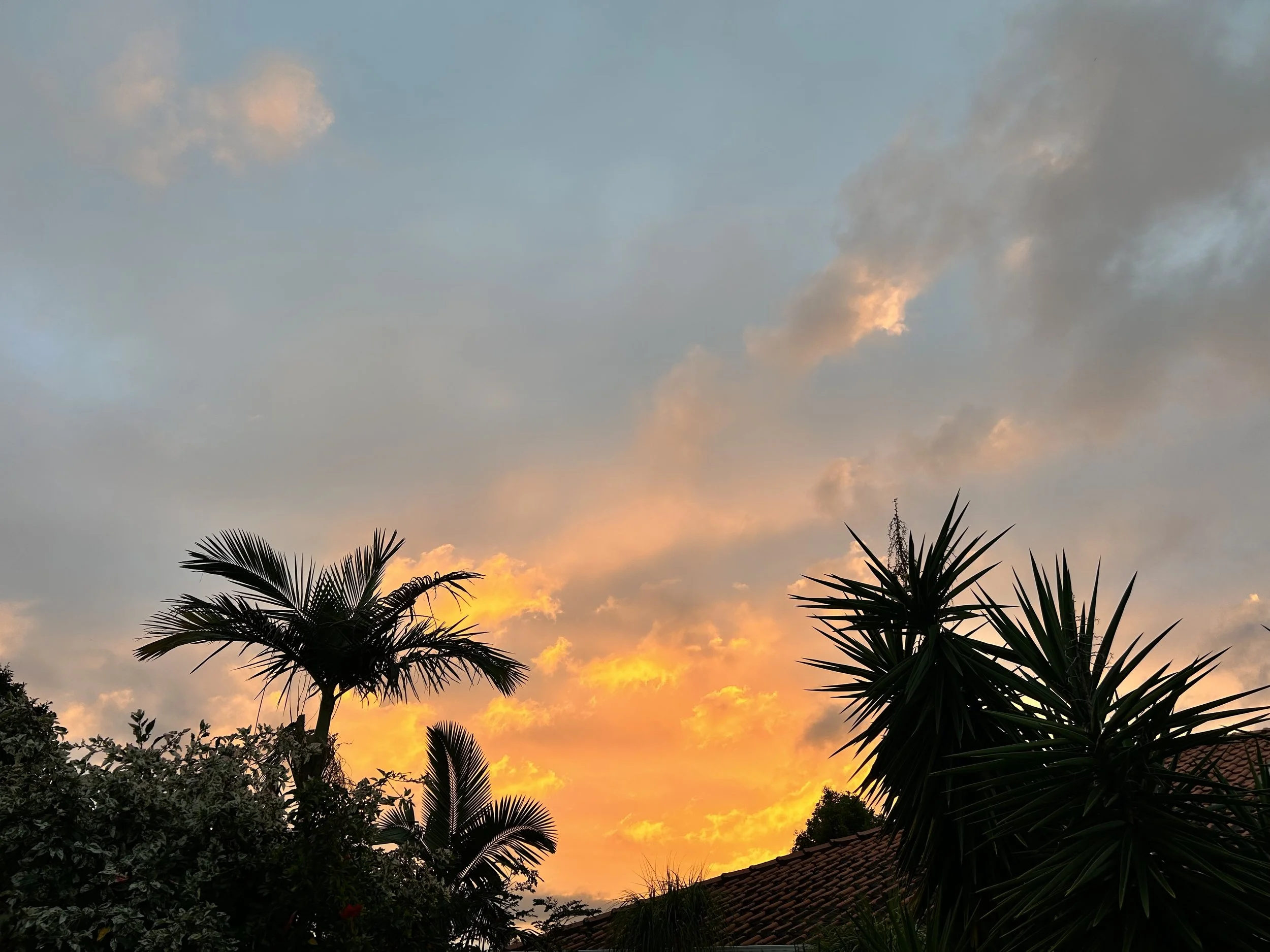 Sunset sky with clouds and silhouettes of palm trees and rooftops in the foreground.