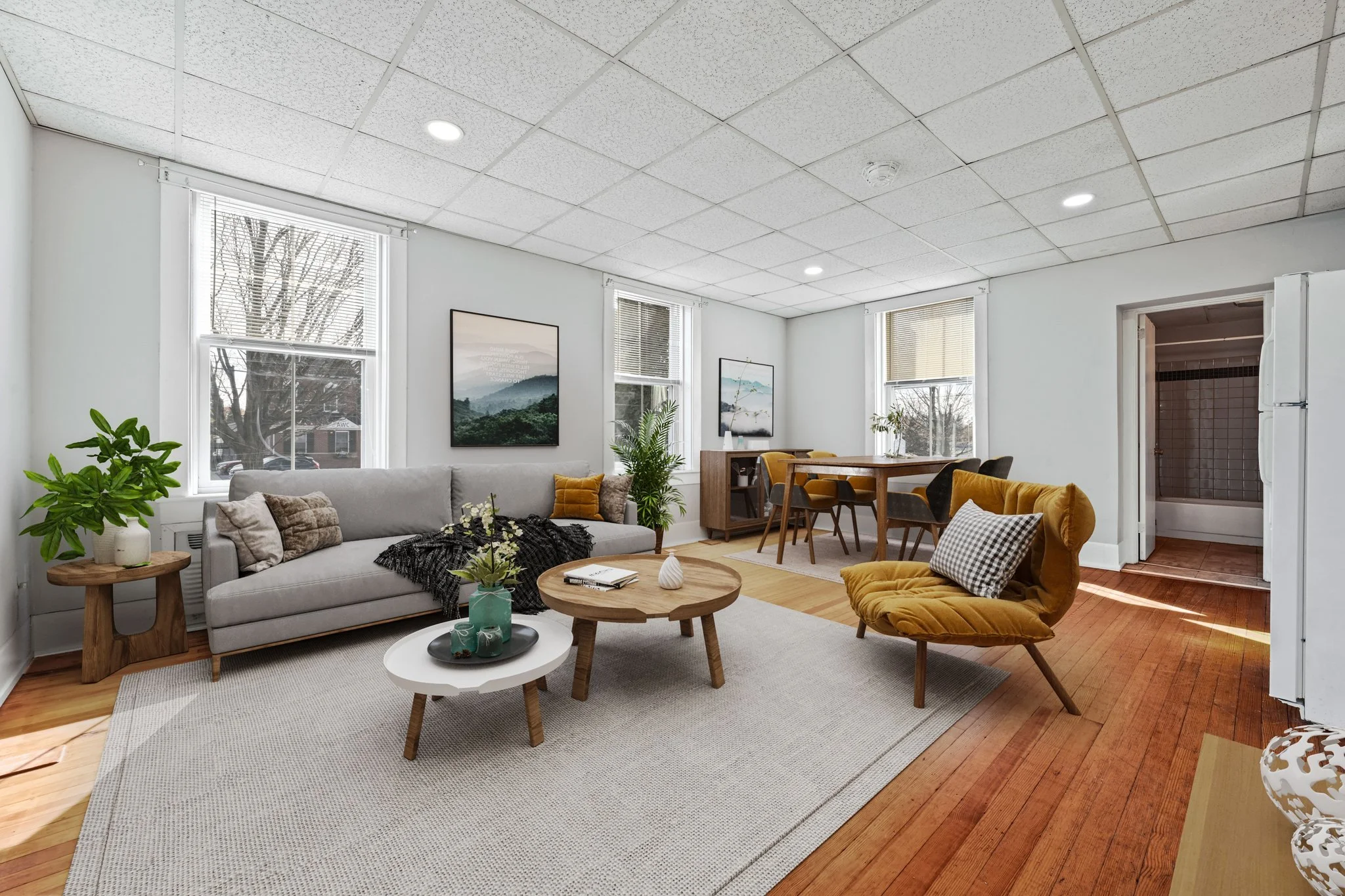 Living Room virtually staged 2.jpg
