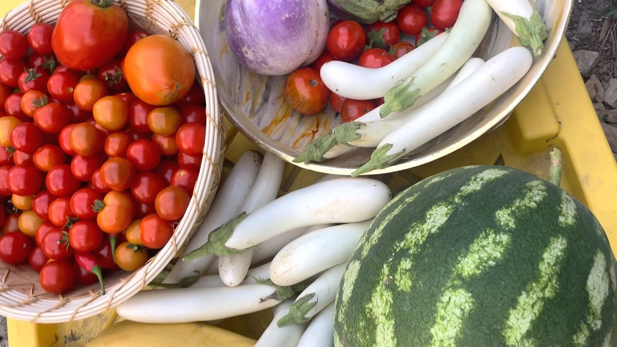 Assorted fresh vegetables including cherry tomatoes, watermelon, eggplant, and white zucchini on a yellow surface.