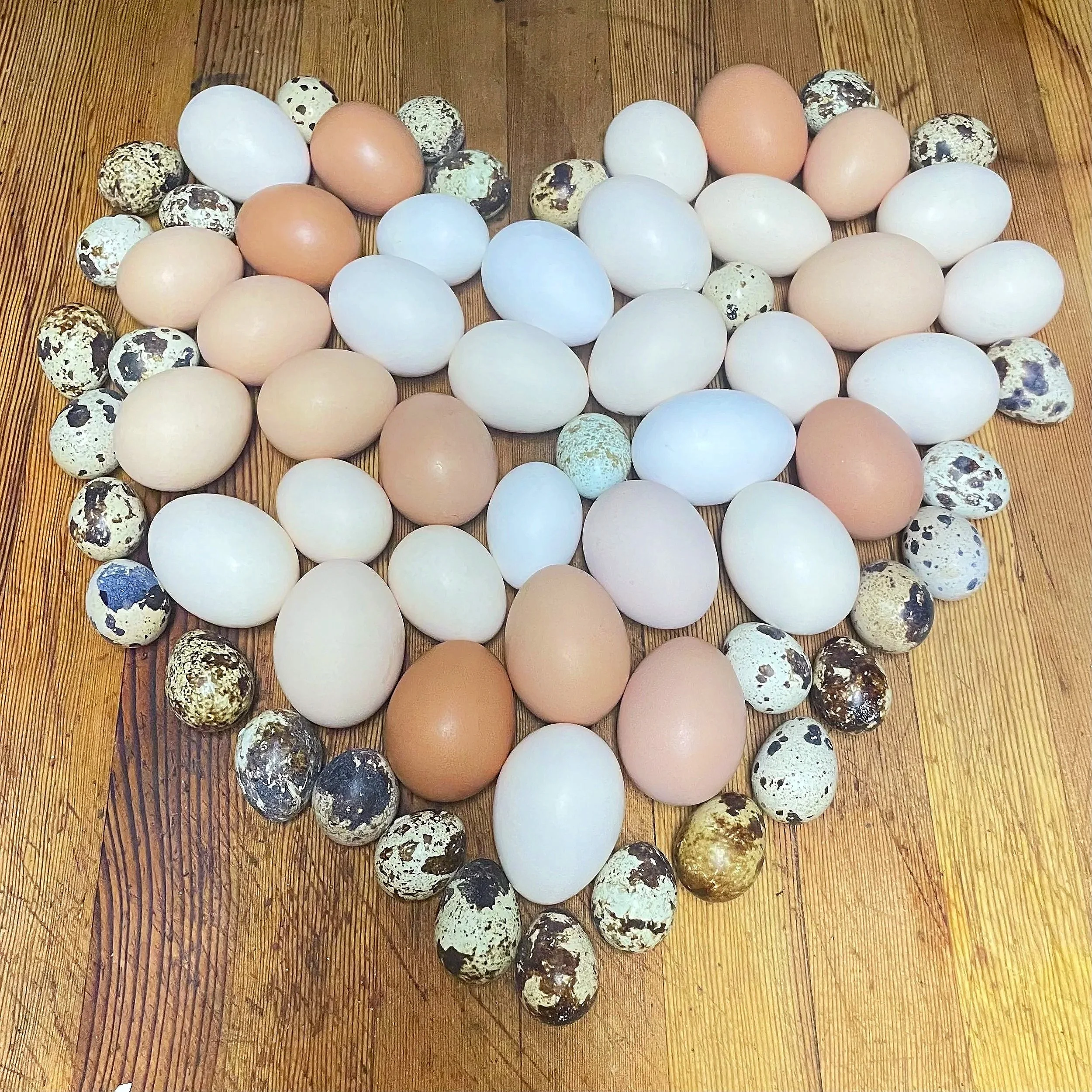 A variety of Chichen and quail eggs, including white, brown, and speckled eggs, arranged on a wooden surface.
