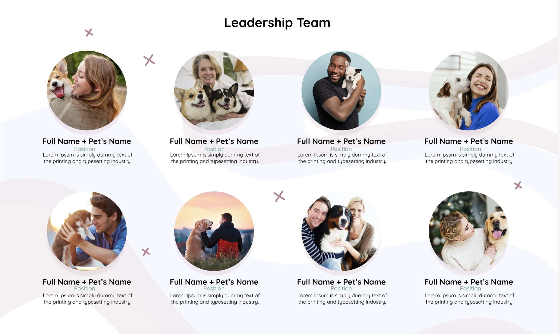 dog e-commerce brand website design and development