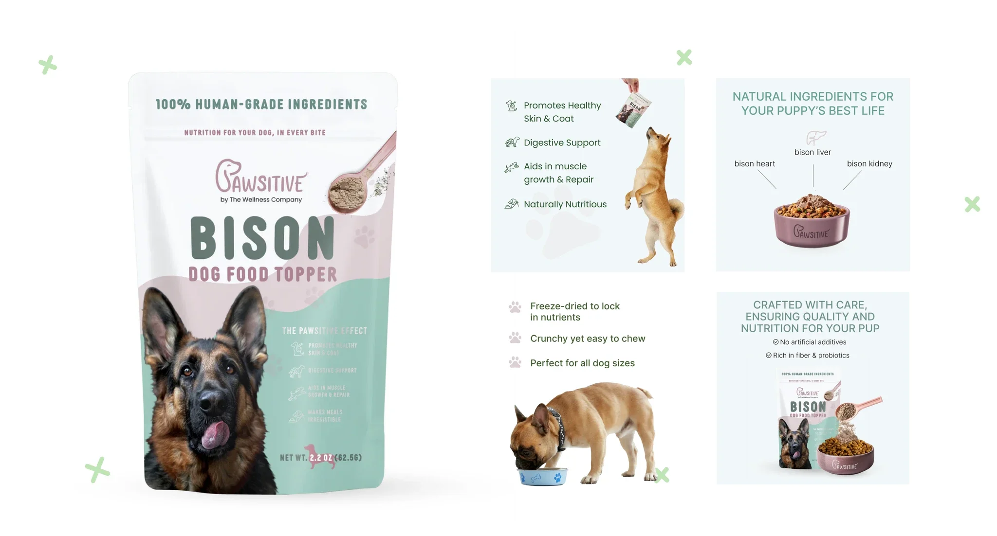 dog shopify website rebranding
