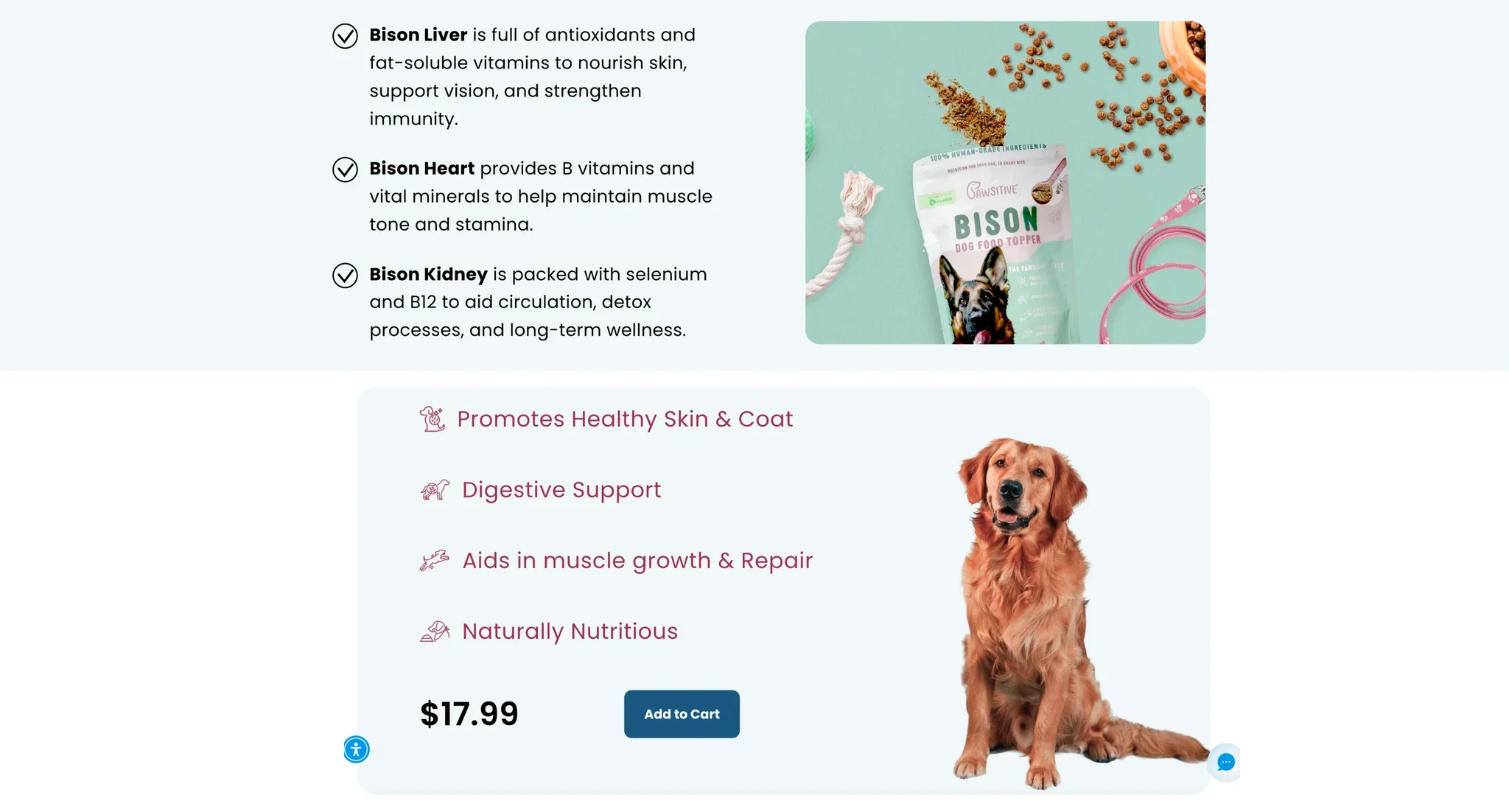 Pawsitive design rebranding