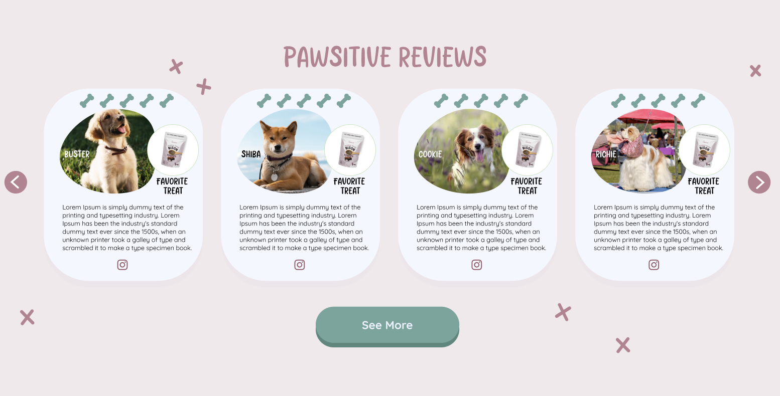 dog e-commerce brand website design and development