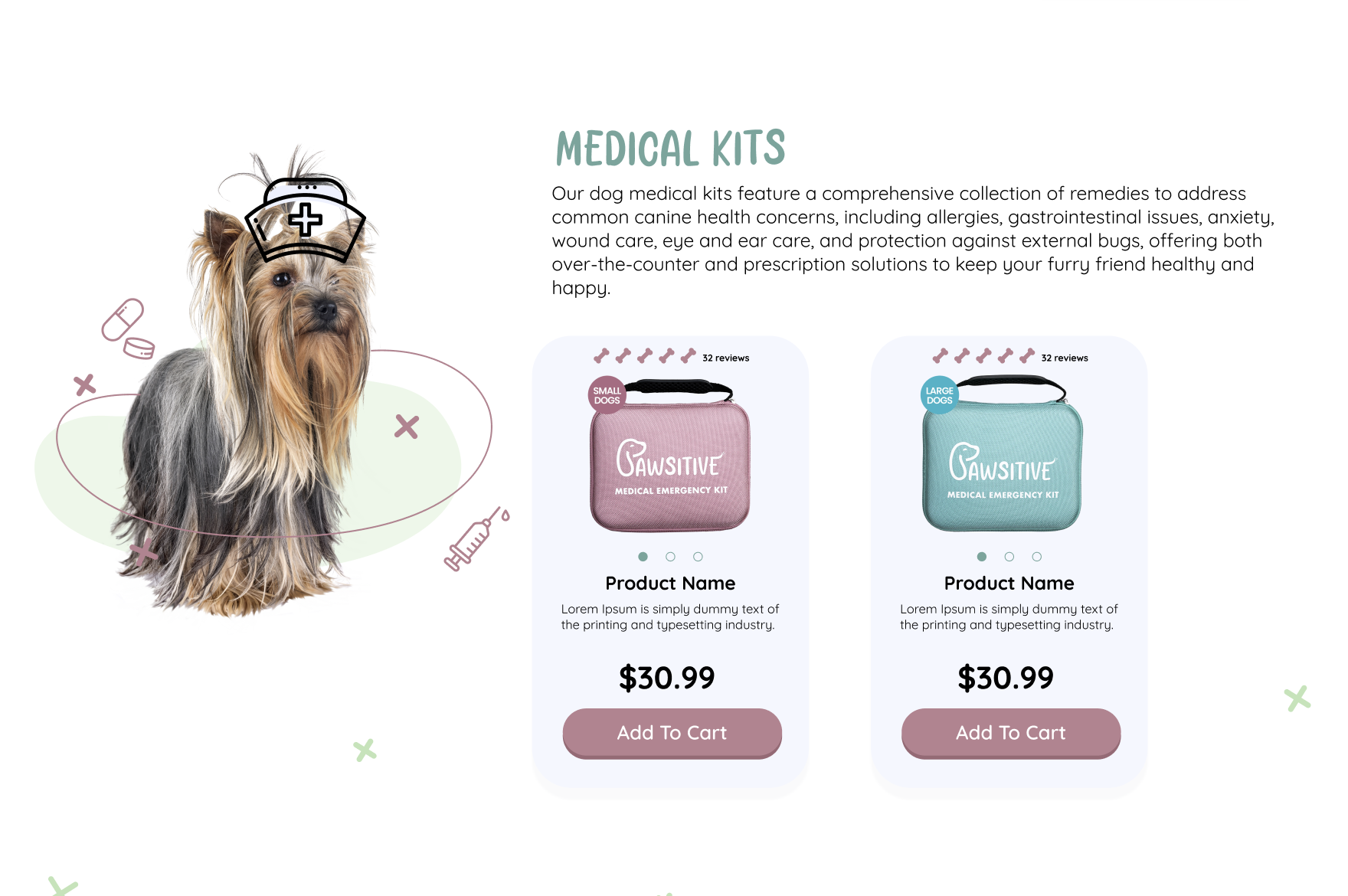dog e-commerce brand website design and development