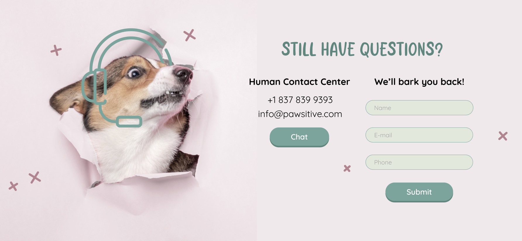 dog e-commerce brand website design and development