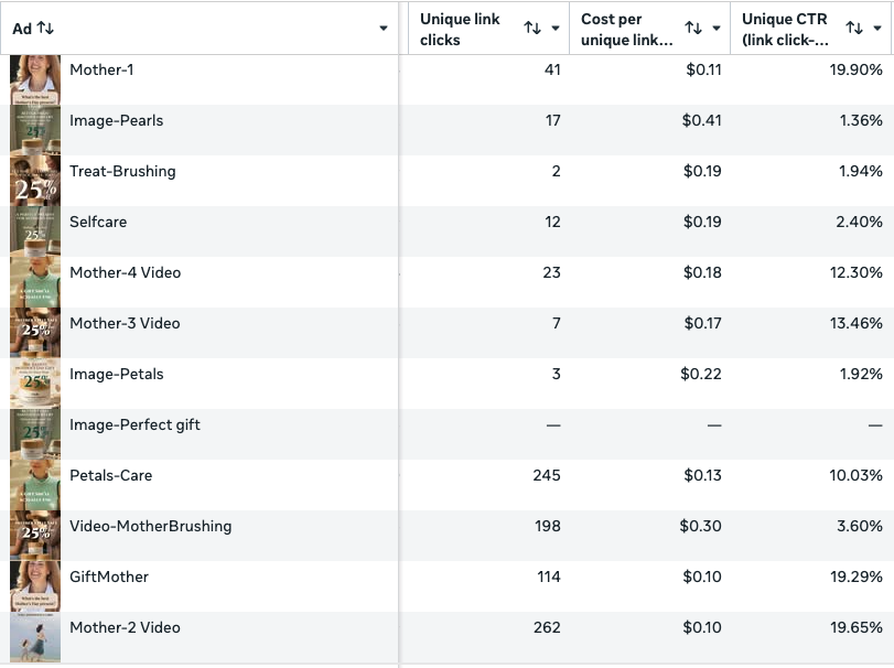 meta ads results marketing agency advertising services