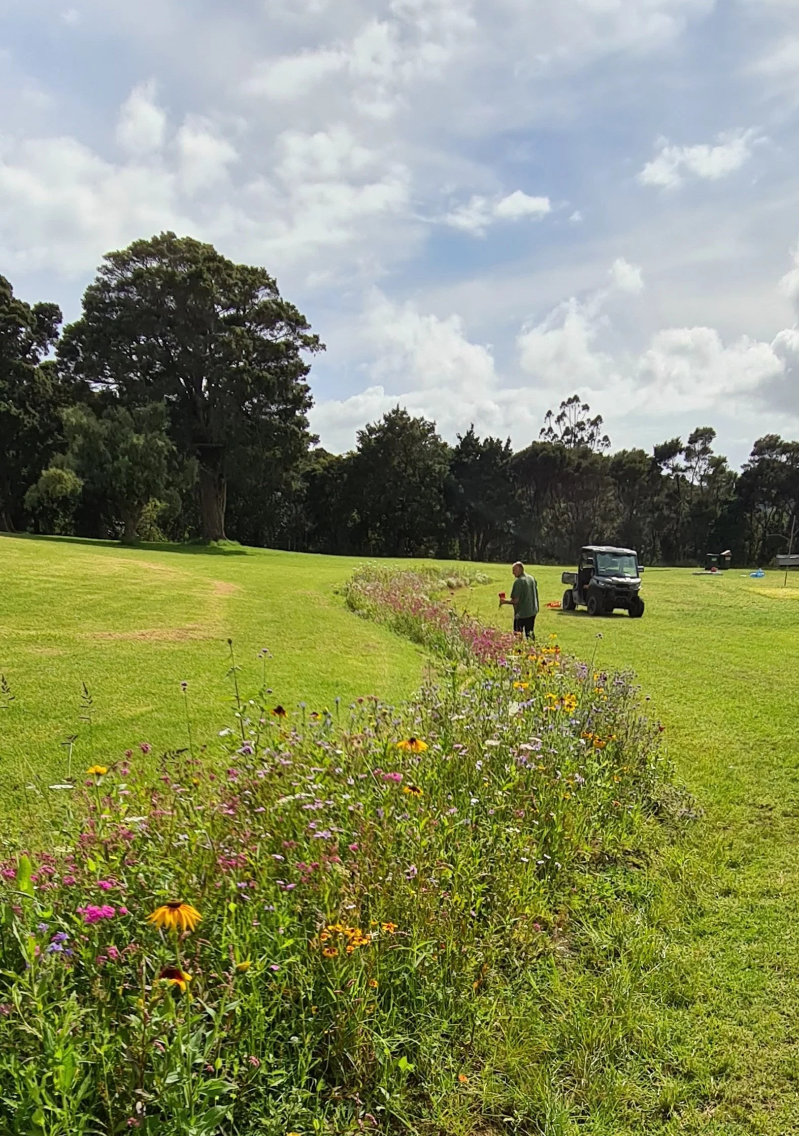 A park with lush green grass, colorful wildflowers in the foreground, tall trees in the background, and a partly cloudy sky. There is a person walking with a red cup and two parked golf carts visible.