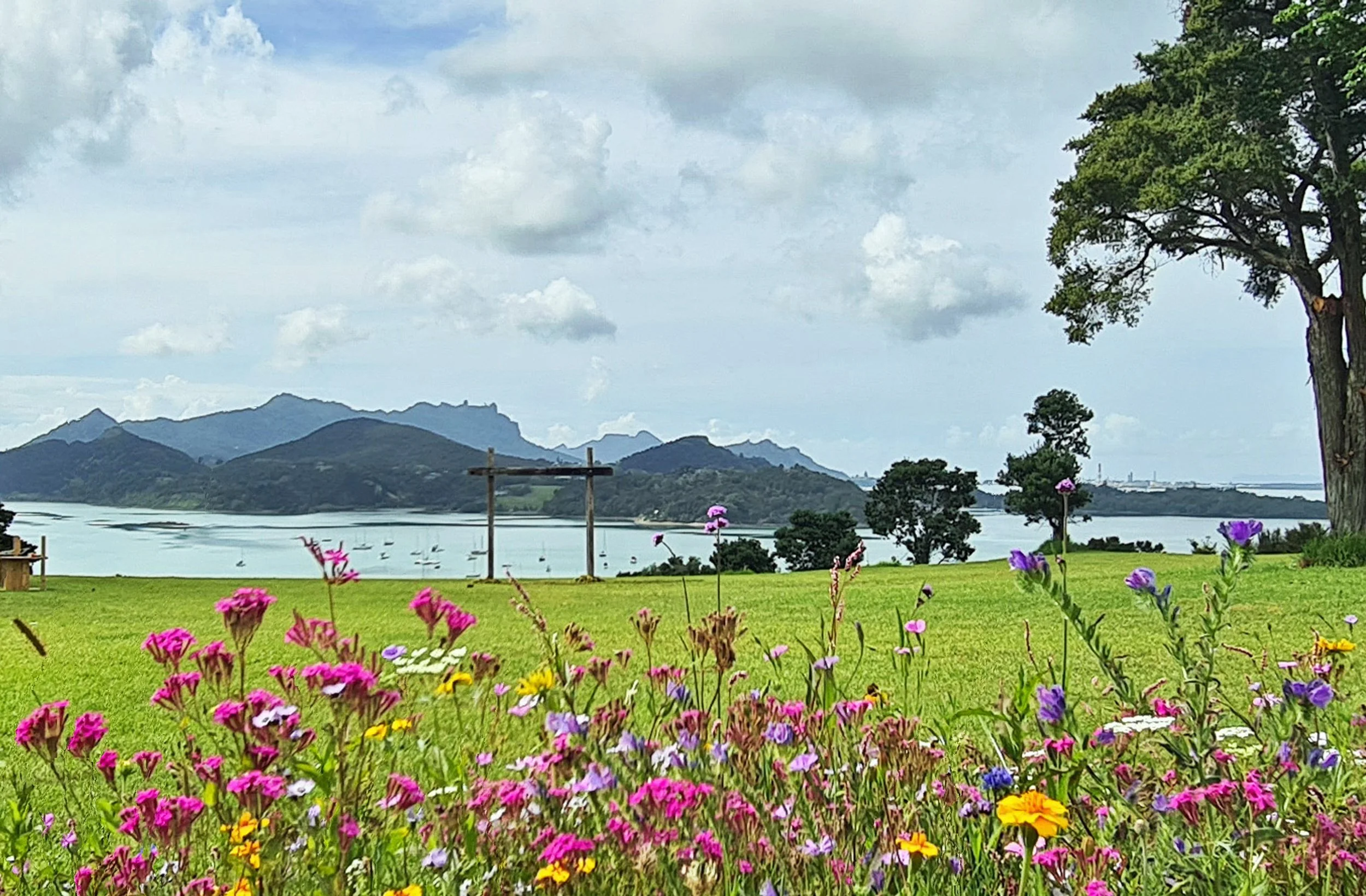 A scenic landscape featuring colorful flowers in the foreground, a grassy area, a large tree to the right, a body of water with boats, and mountains in the background under a cloudy sky.