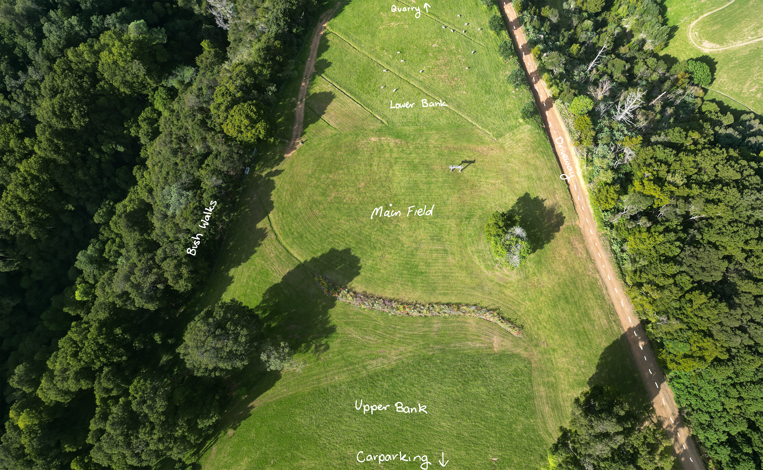 Aerial view of a large grassy field with labels indicating a main field, upper bank, lower bank, quarry, bush walks, and parking area, surrounded by dense trees.
